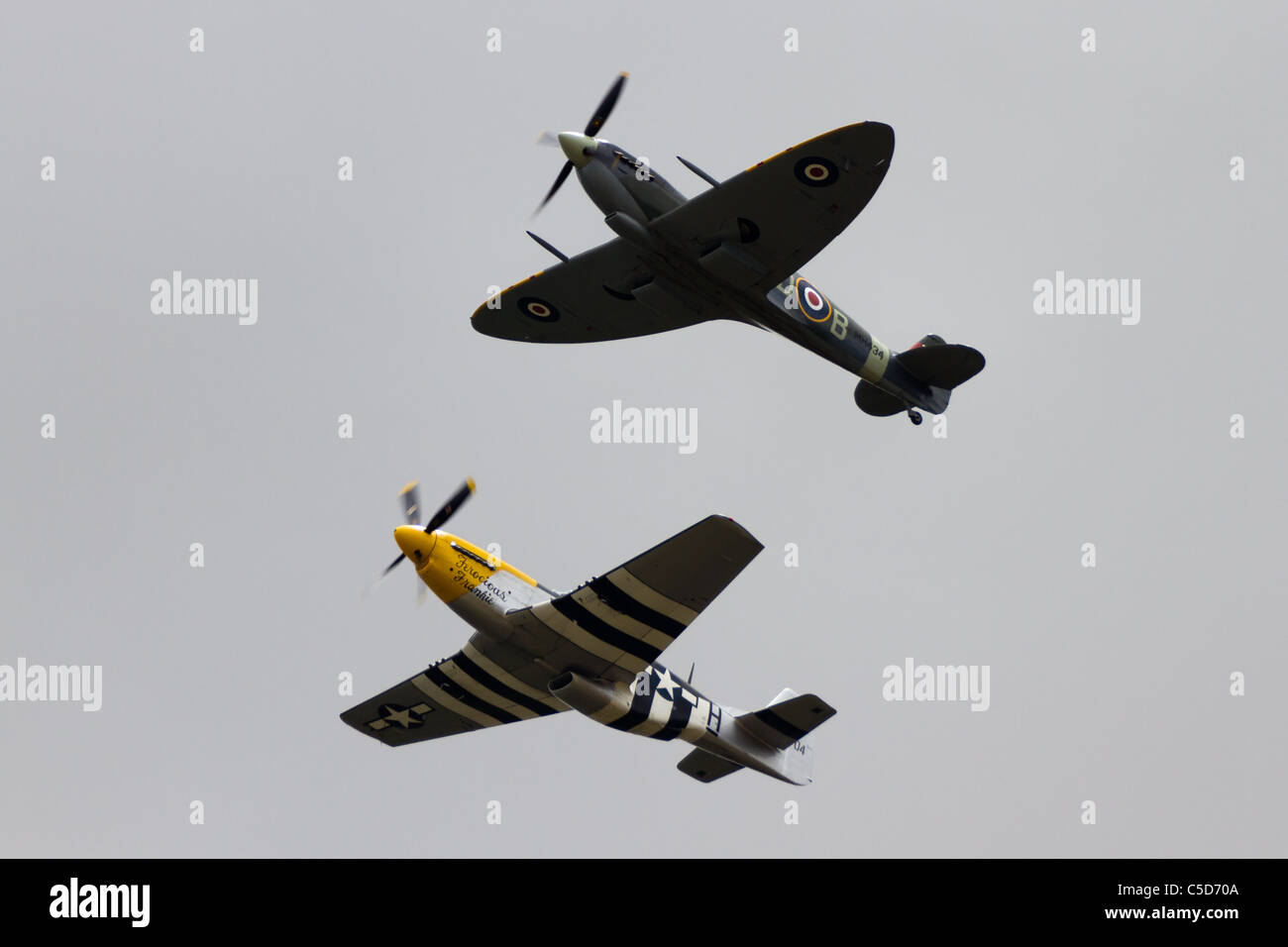 Un P51 Mustang et un Spitfire volent ensemble. Banque D'Images