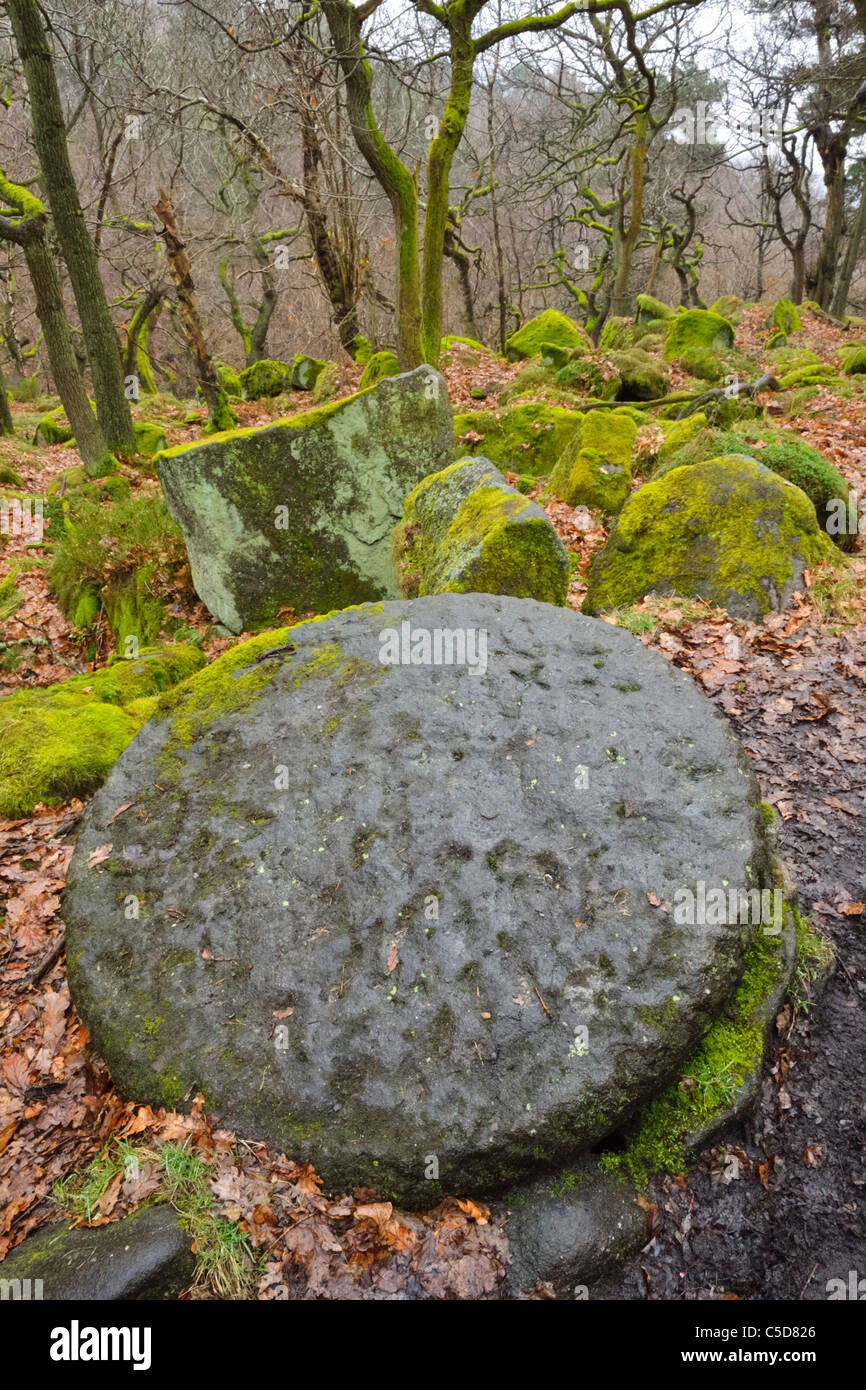 Bois Bolehill Padley Gorge Derbyshire Peak District Burbage Brook Grindleford Nether Padley Paley supérieur Banque D'Images