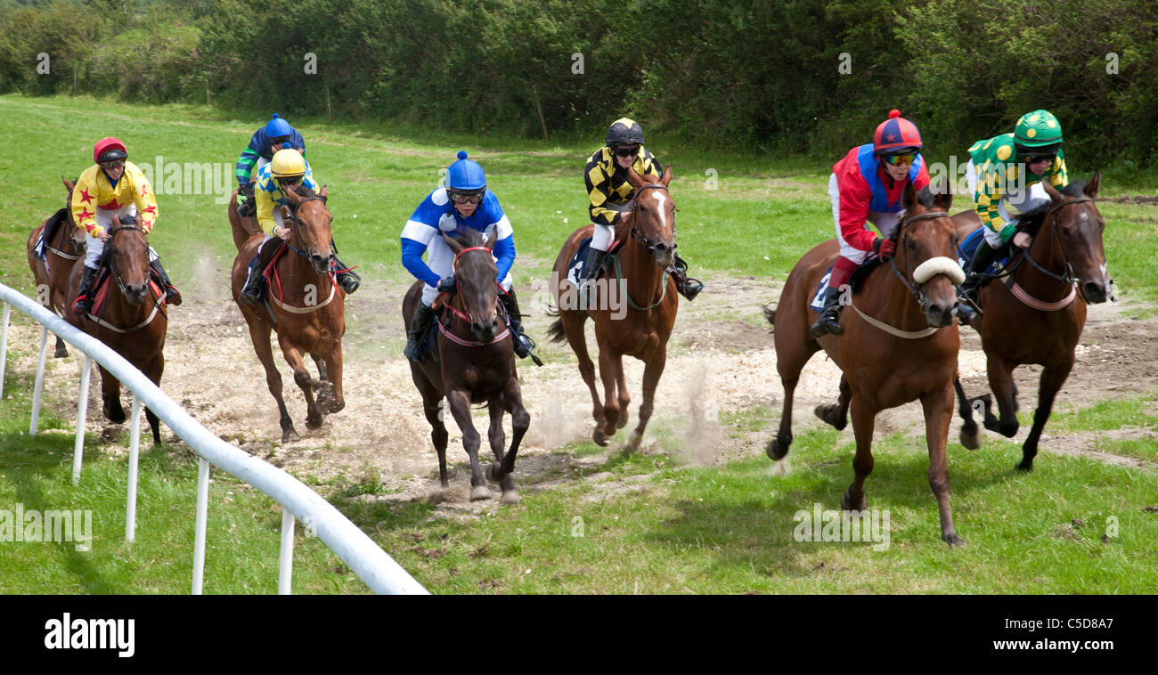 Course de chevaux, amateurs de courses Abbeyfeale, comté de Limerick, Irlande Banque D'Images