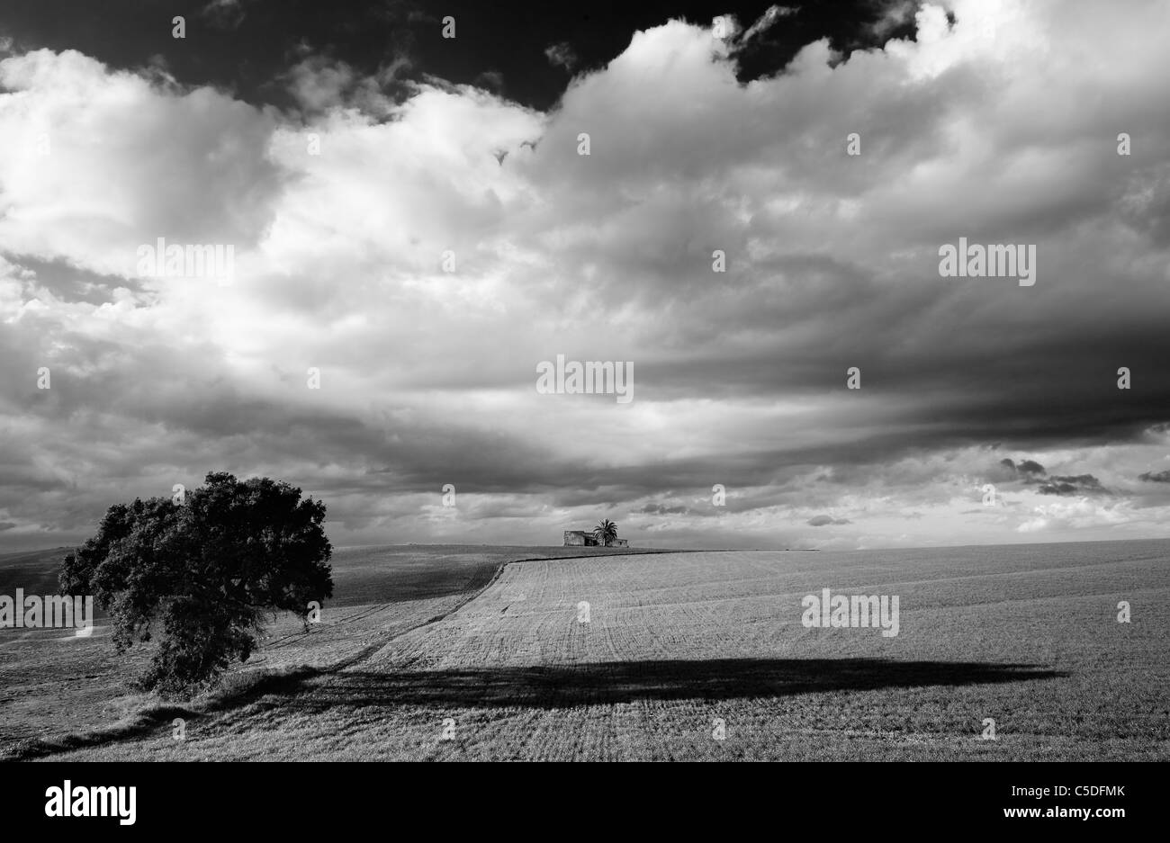 Images de la campagne d'Andalousie dans la soirée Banque D'Images