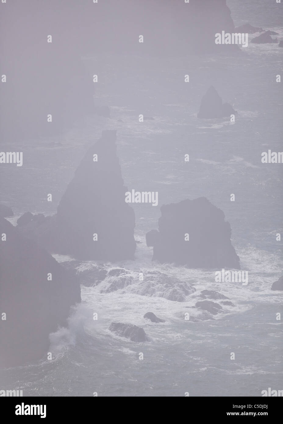 Rocky seashore à travers un épais brouillard Banque D'Images