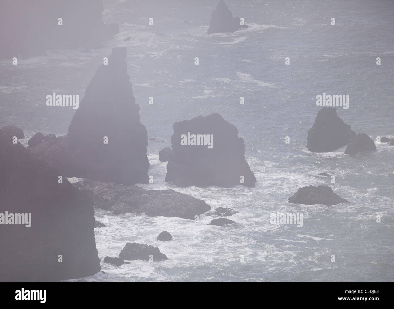 Rocky seashore à travers un épais brouillard Banque D'Images