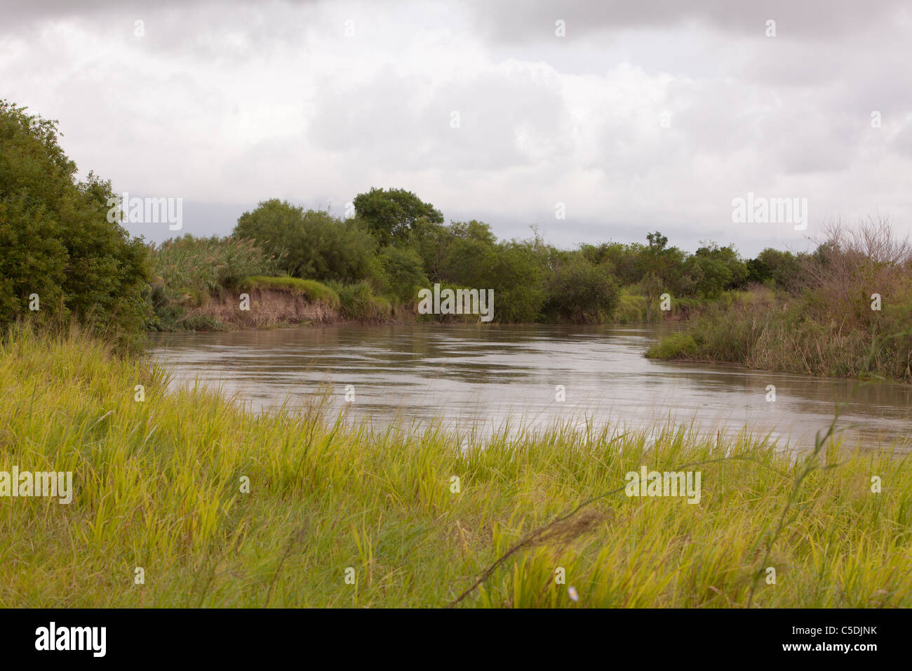 Domaine de la Rio Grande River près de Brownsville, Texas à la frontière mexicaine nous Texas Banque D'Images