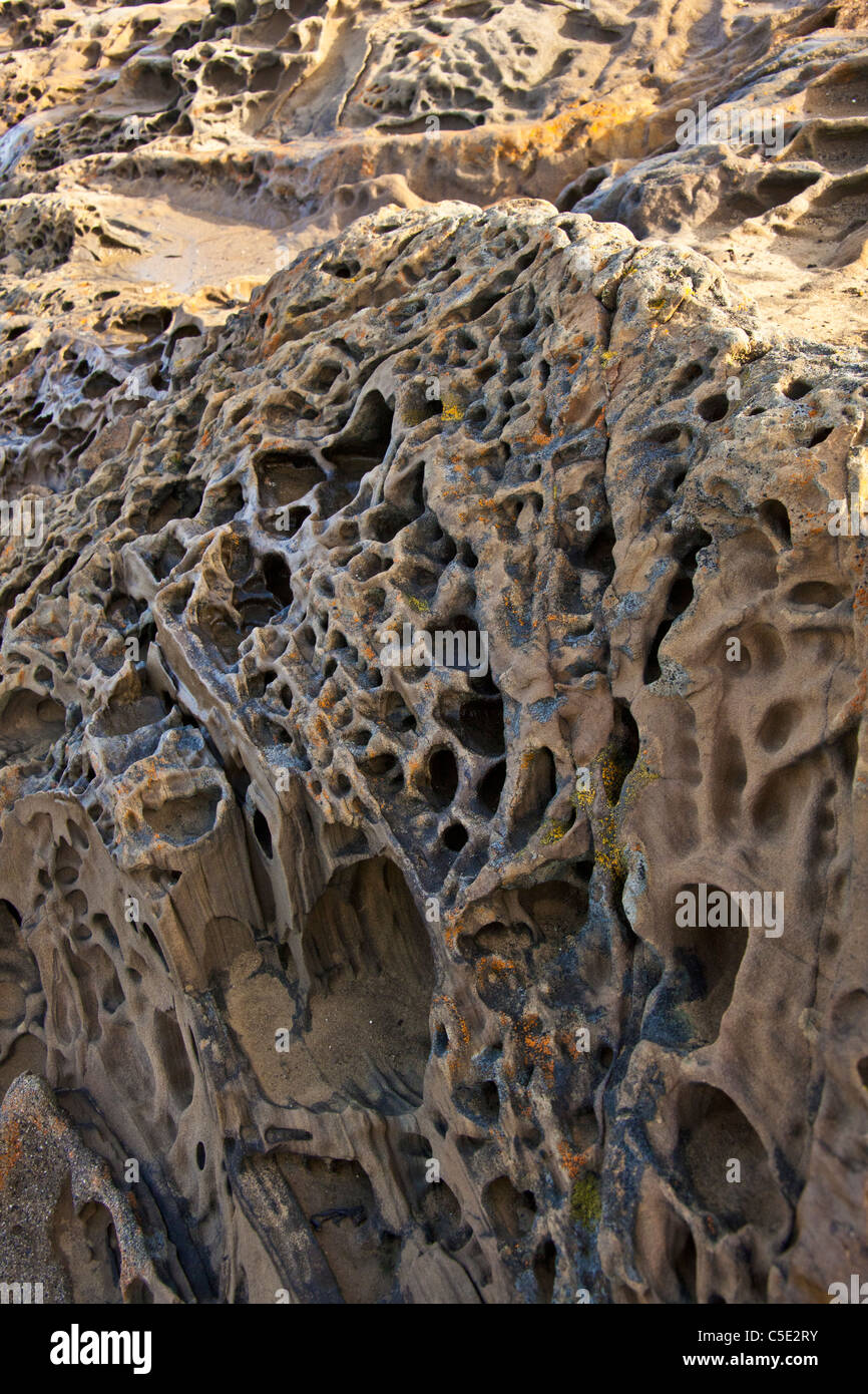 Formations Tafoni de lichen et soleil du matin sur la côte centrale de la Californie. Banque D'Images