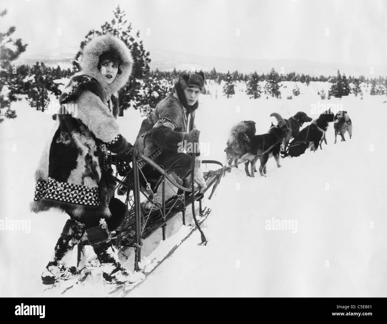 Iditarod Banque D'Images