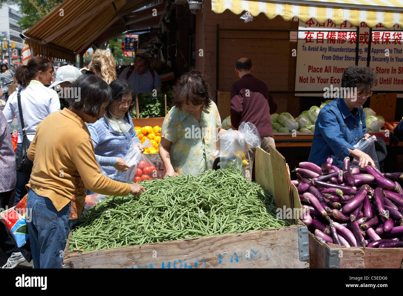 Les femmes chinoises d'Asie Choisissez des légumes frais de l'extérieur d'un magasin de décrochage chinatown toronto ontario canada Banque D'Images