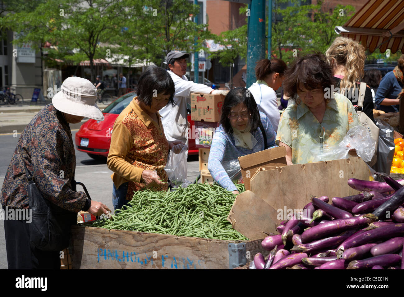 Les femmes chinoises d'Asie Choisissez des légumes frais de l'extérieur d'un magasin de décrochage chinatown toronto ontario canada Banque D'Images