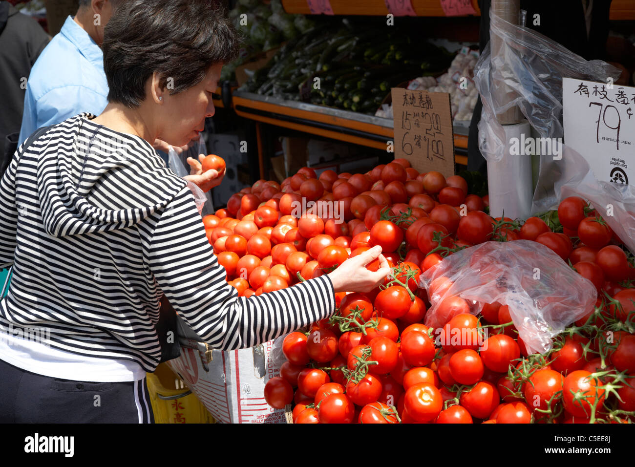 Woman picking chinois asiatique Légumes Tomates fraîches de l'extérieur d'un magasin de décrochage chinatown toronto ontario canada Banque D'Images