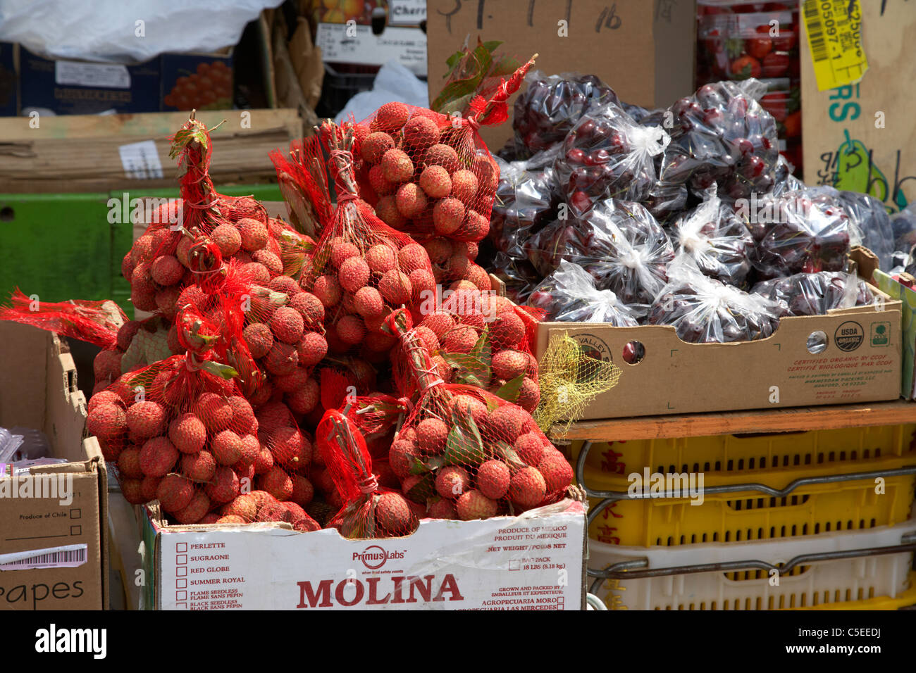 Les litchis et les cerises sur un étal de fruits frais toronto ontario canada Banque D'Images