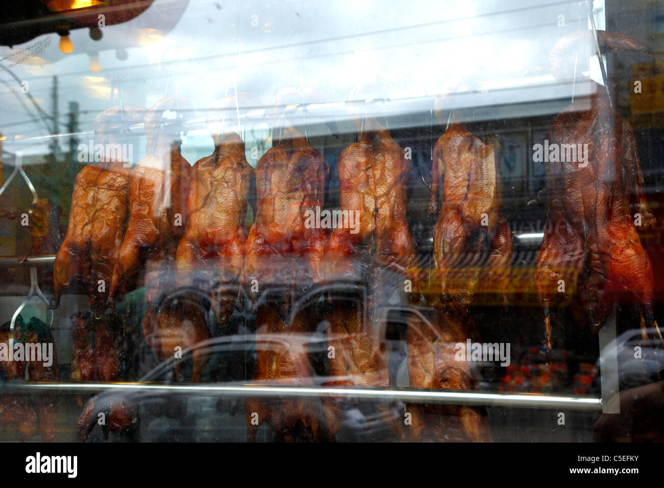 Rôti chinois canards suspendus dans la fenêtre d'un restaurant dans le quartier chinois toronto ontario canada Banque D'Images