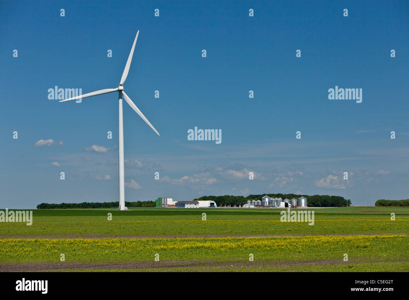 Une ferme éolienne électrique près de St., Manitoba, Canada. Banque D'Images