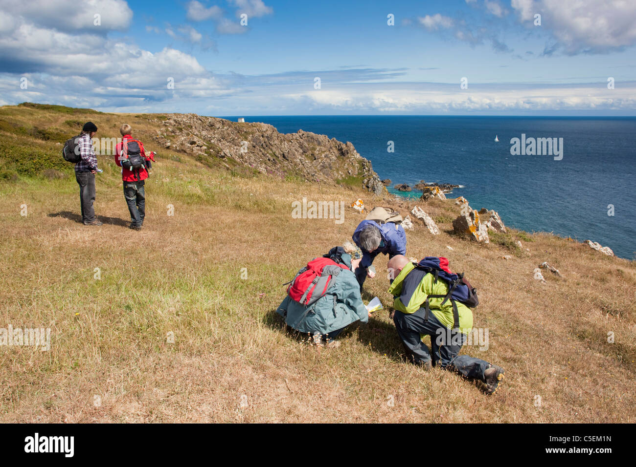 Les gens sur une promenade botanique à la recherche dans les usines ; Lizard, Cornwall Banque D'Images