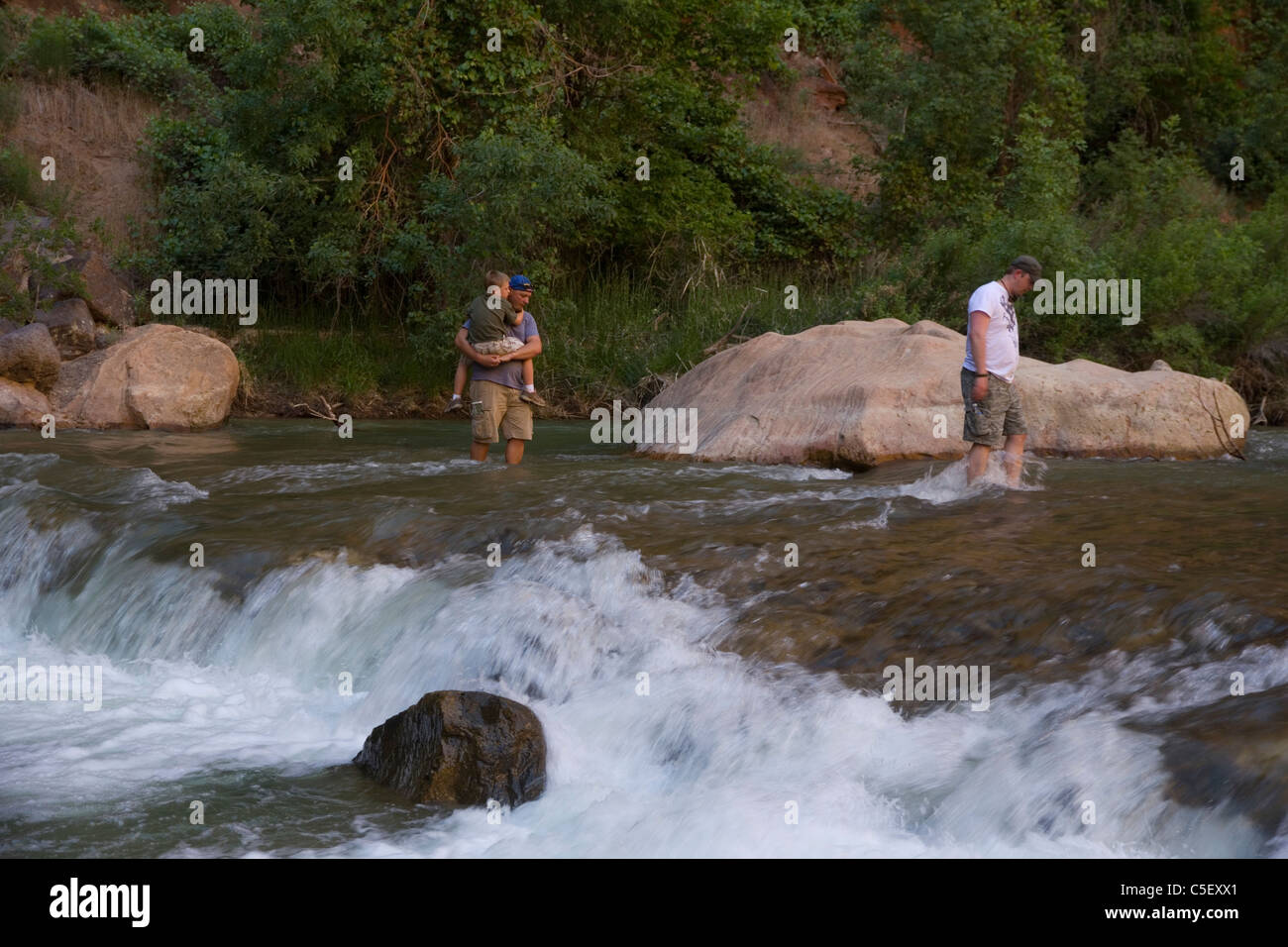 Les randonneurs wade la Virgin River dans la région de Zion Canyon, Zion National Park, UT Banque D'Images