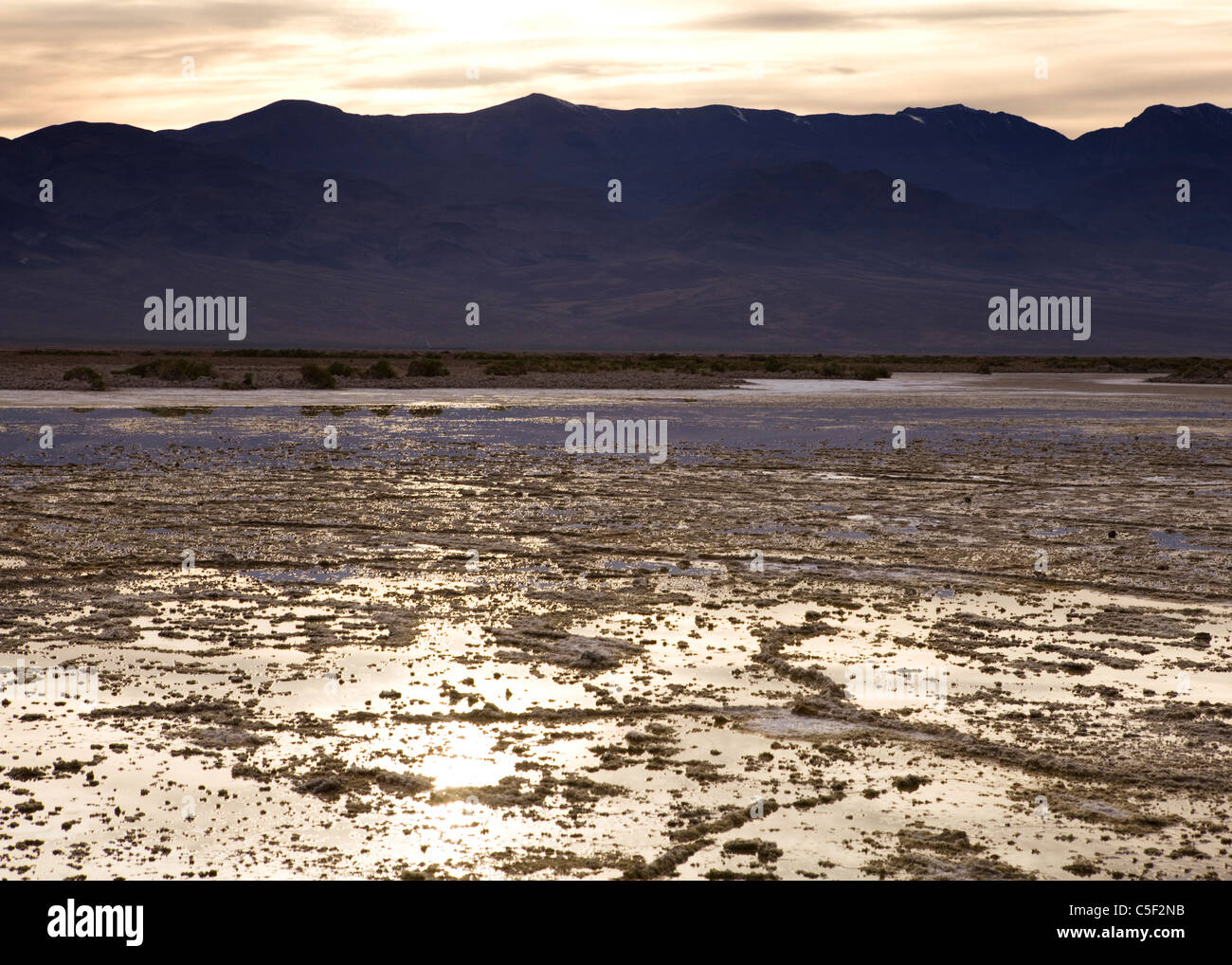 Mauvaise qualité de l'eau, la Death Valley - Californie USA Banque D'Images