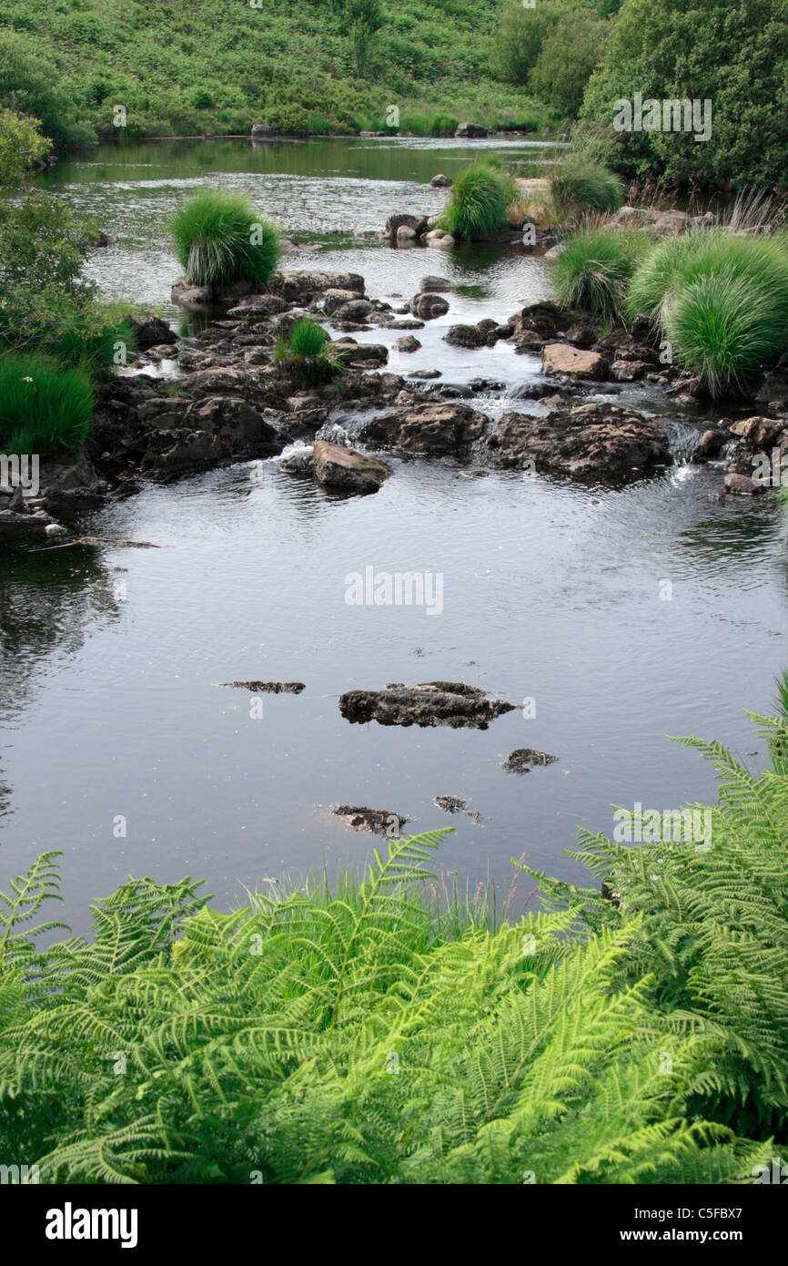 Rivière Dee près de Loch Stroan dans le Galloway Forest Park, Dumfries et Galloway, en Écosse. Banque D'Images