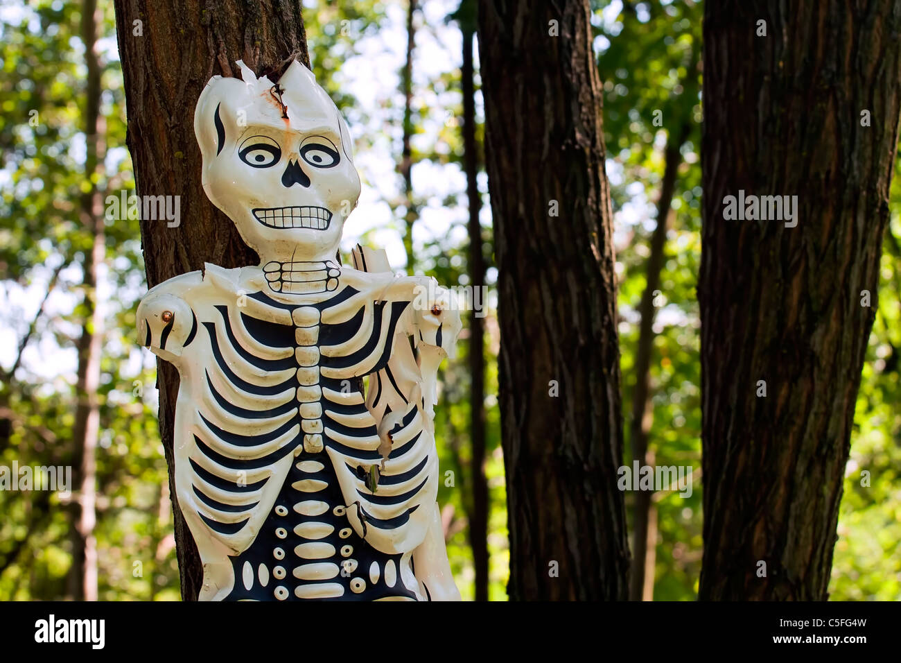 Squelette humain en plastique suspendues sur un arbre dans une forêt Banque D'Images