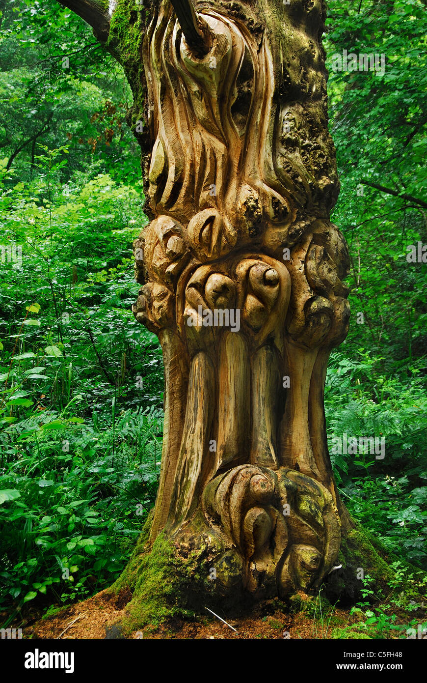 Sculpture taillée dans arbre vivant. Bonsley commun, Dorset, UK Juillet 2009 Banque D'Images