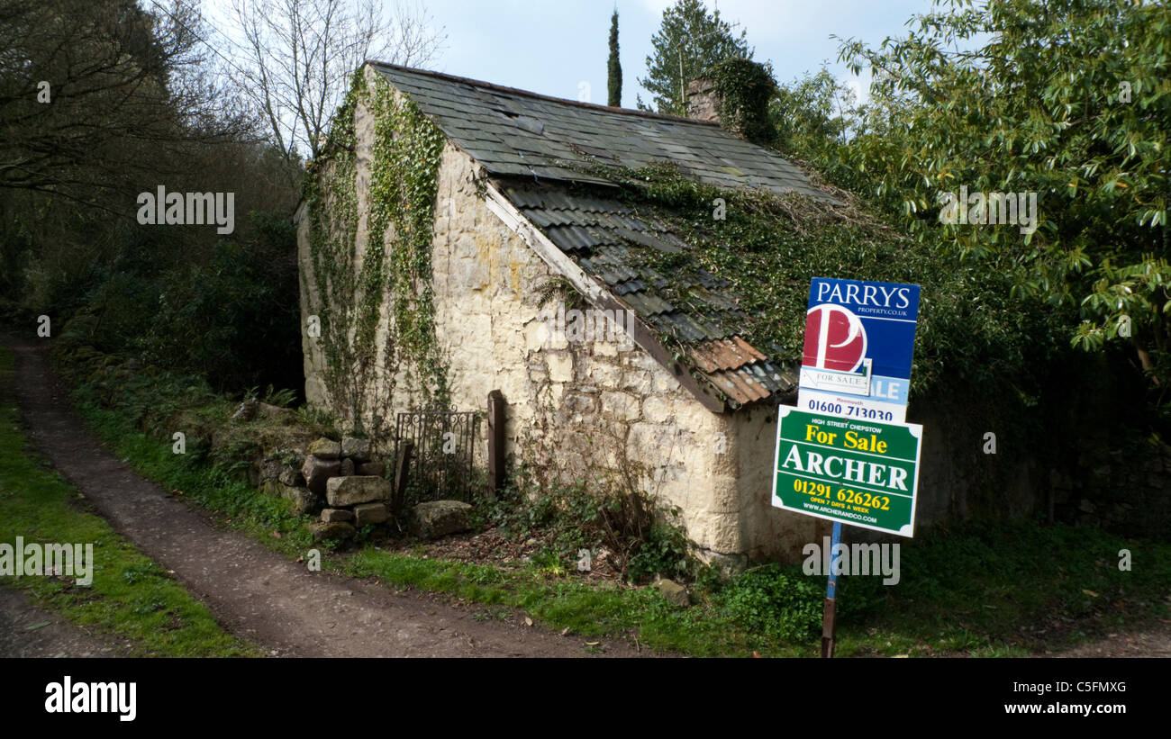 Agent Immobilier à vendre Inscrivez-vous à l'extérieur d'un chalet à l'abandon en milieu rural Gloucestershire England UK KATHY DEWITT Banque D'Images