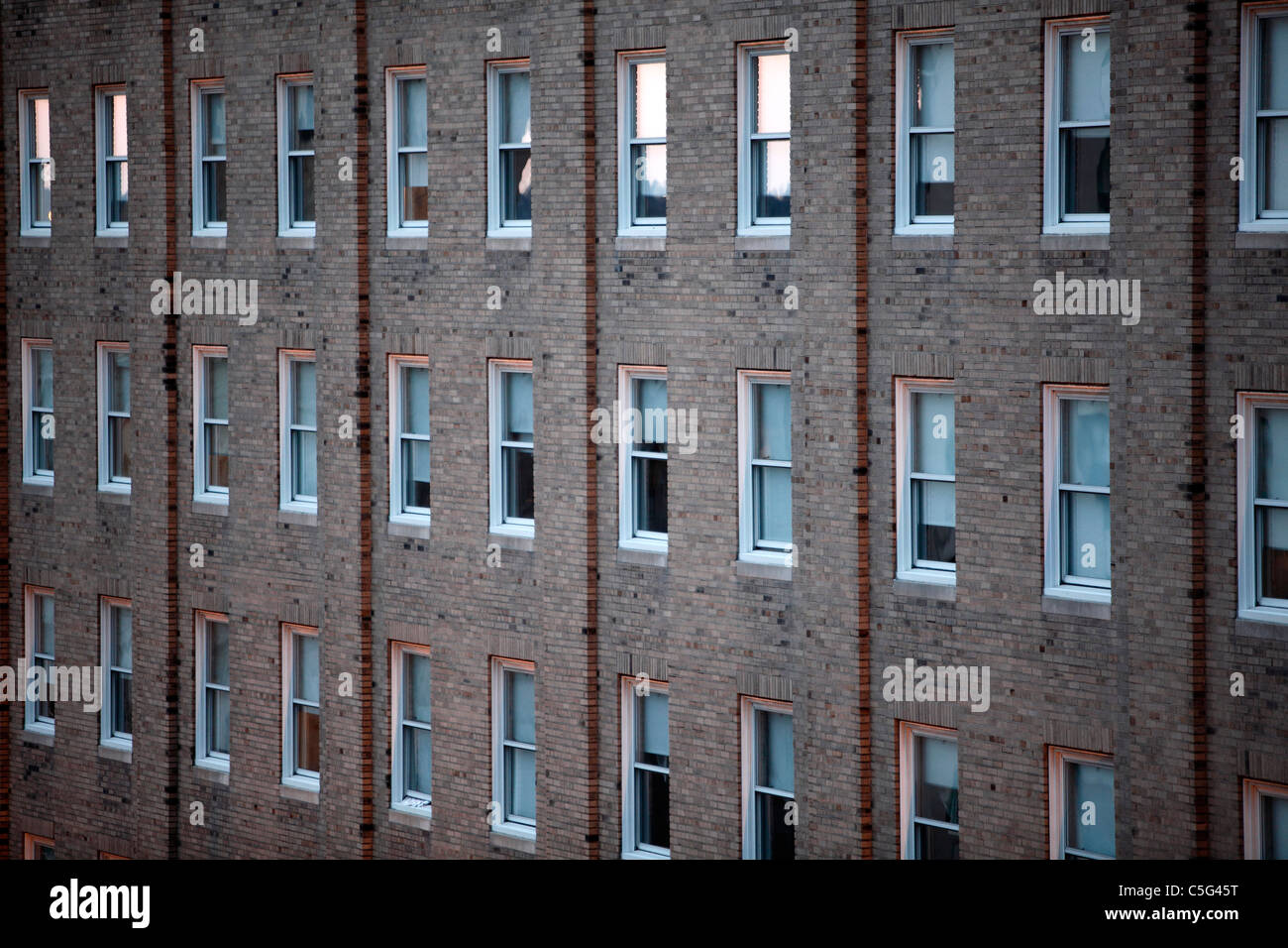 Rangées de fenêtres du bâtiment de plusieurs étages Banque D'Images