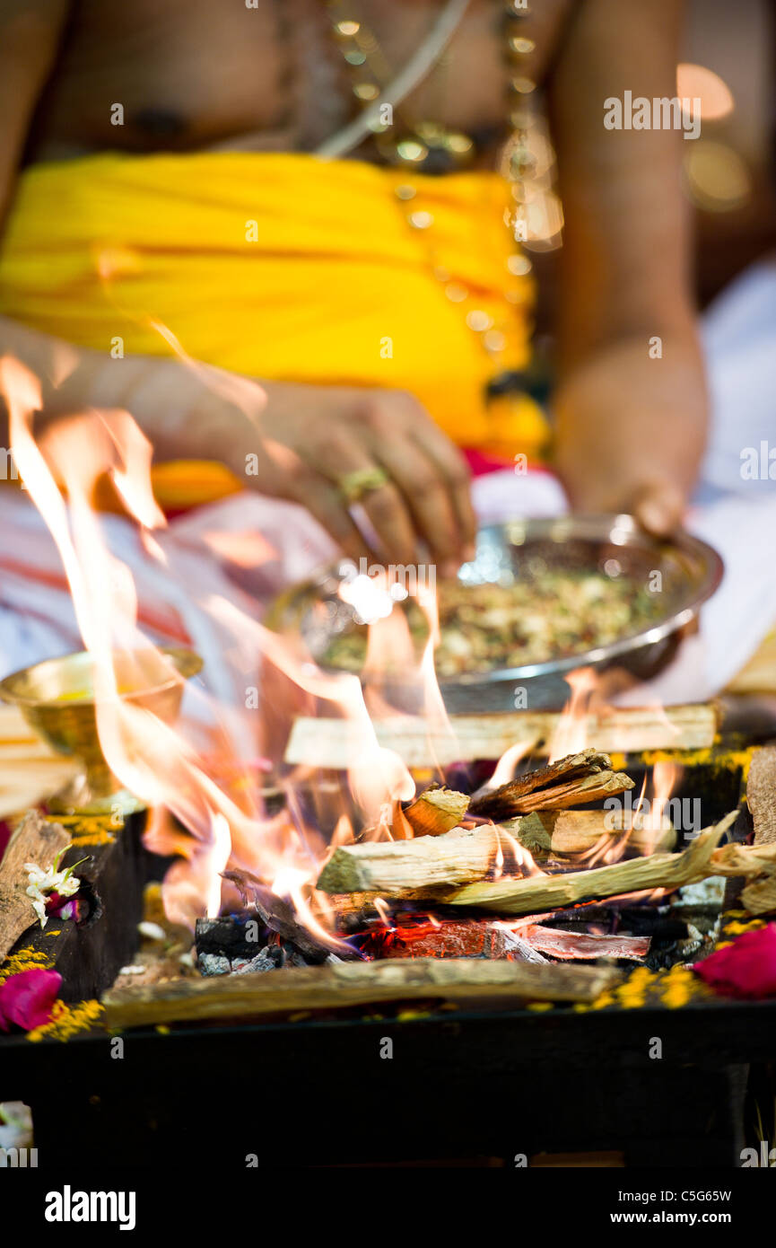Cérémonie de mariage indien hindou dans un temple Banque D'Images