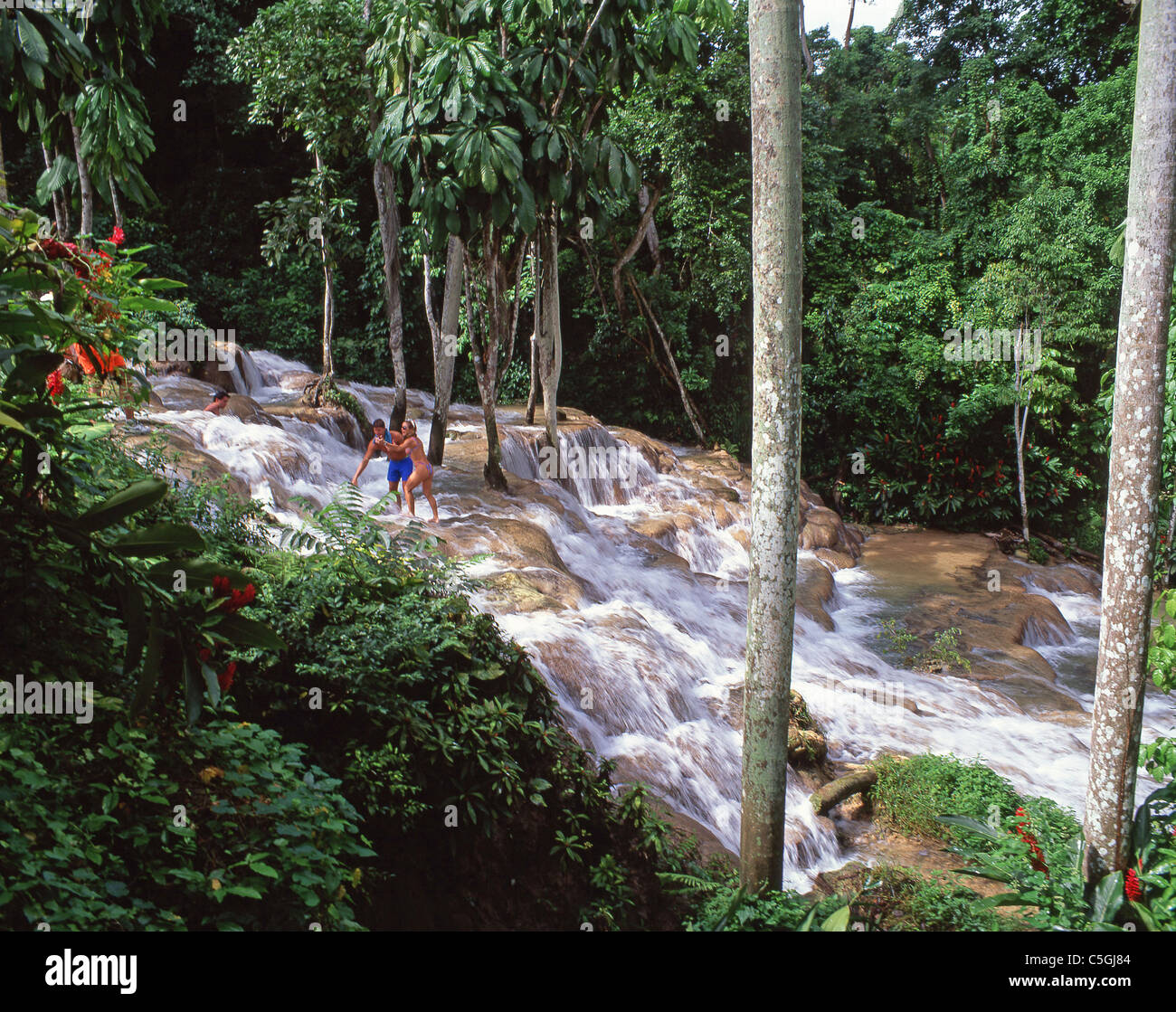 Dunn's River Falls, Ocho Ríos, paroisse de Saint Ann, Jamaïque, Antilles, Caraïbes Banque D'Images