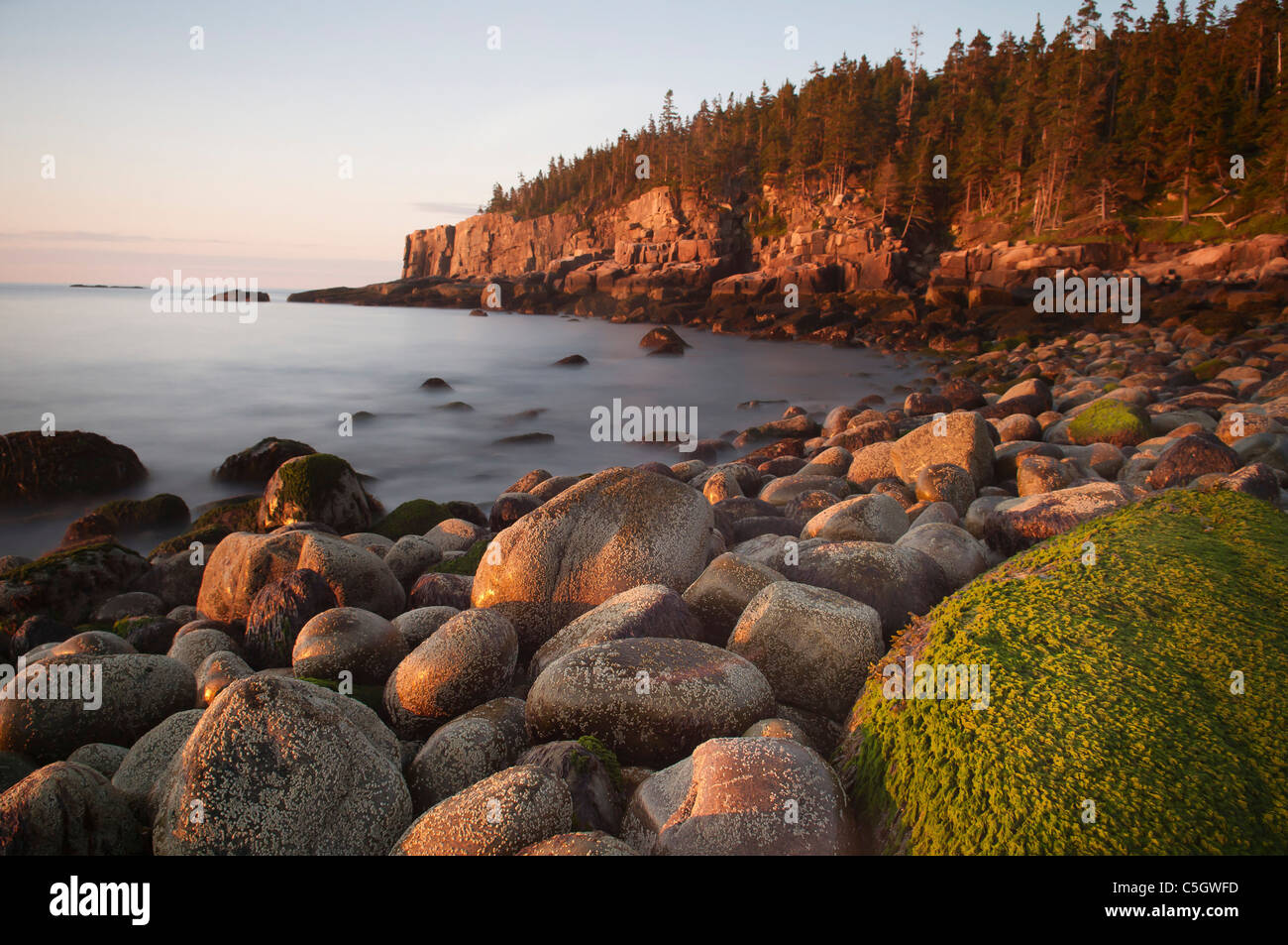 Otter cliffs tôt le matin, l'Acadia national park maine usa Banque D'Images