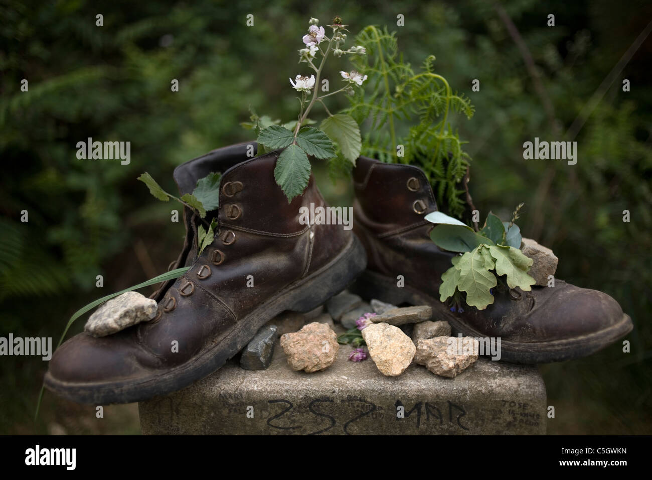 Vieilles bottes remplies de fleurs et plantes placé sur une borne dans le chemin de Saint-Jacques de Compostelle, Santiago de Compostela, Banque D'Images