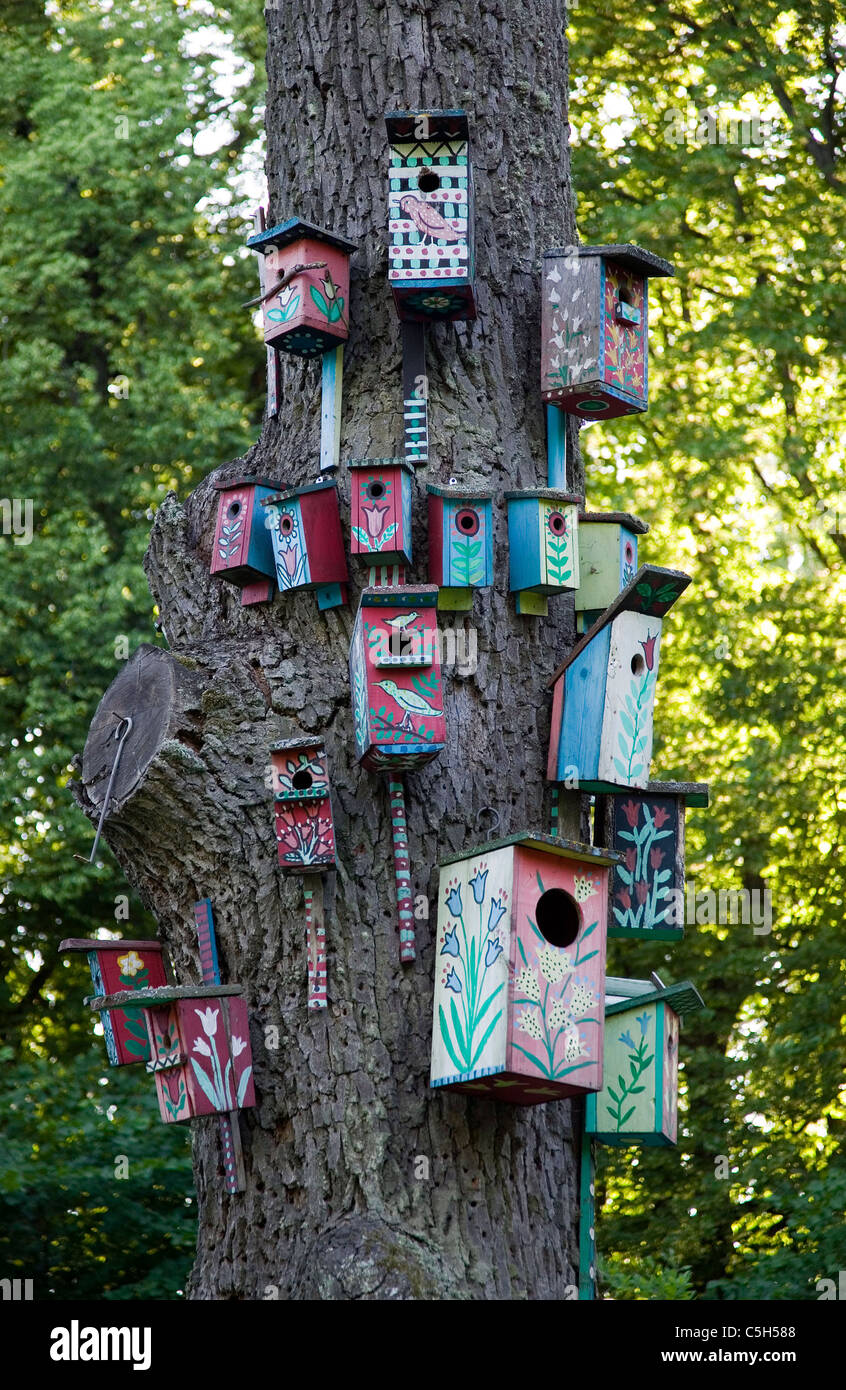 Il y a un arbre avec de nombreuses boîtes de nidification pour les oiseaux Banque D'Images
