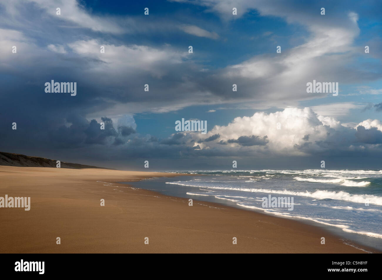 Soustons Plage, Landes, Aquitaine, France Banque D'Images