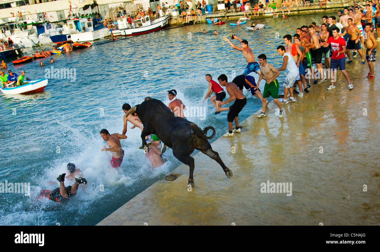 Un taureau frappe les jeunes fêtards espagnole dans la mer à la "Bous a la mar" ou Bulls à la fête de la mer à Denia, Espagne 2011 Banque D'Images