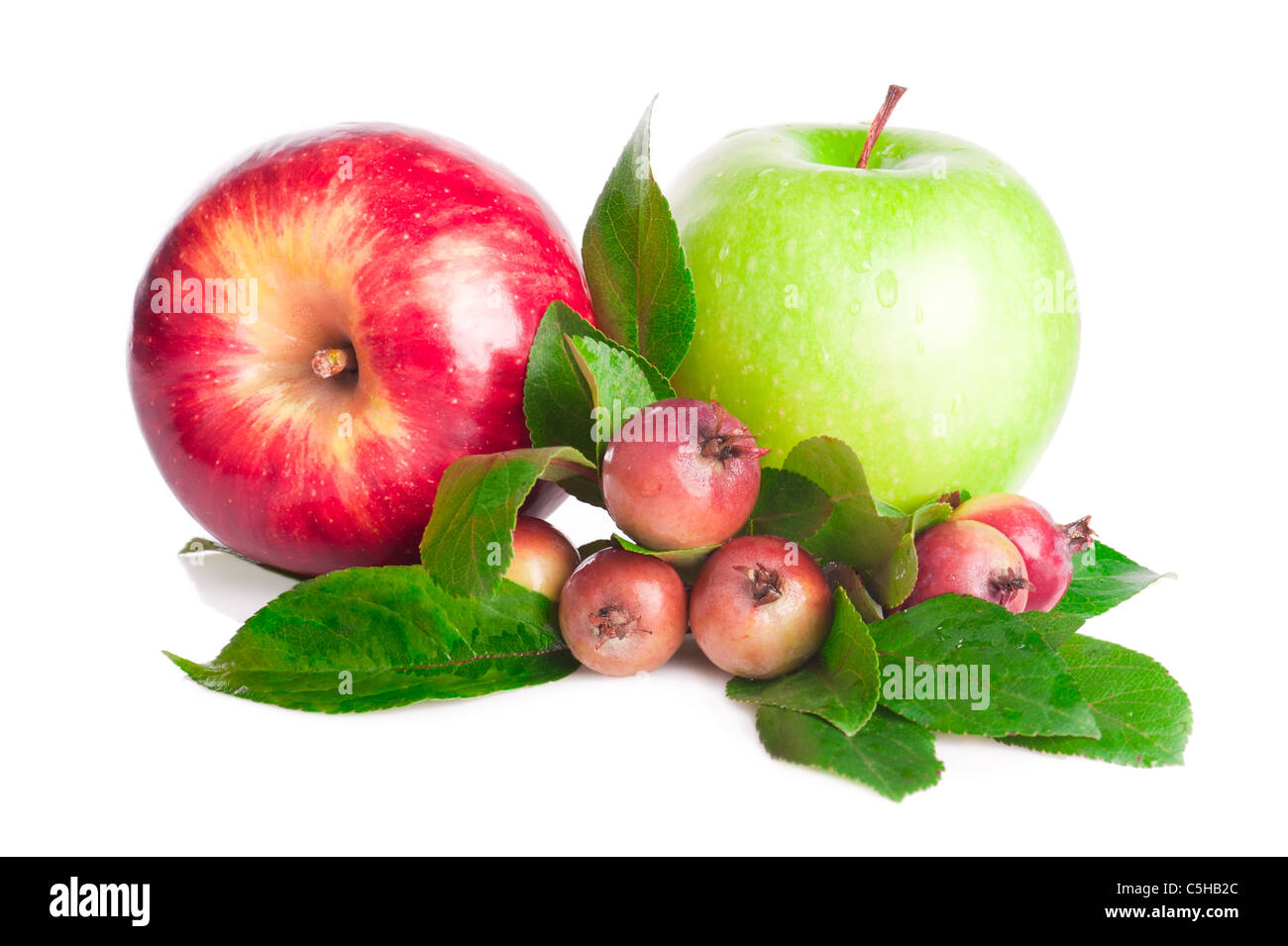 Pommes vertes et rouges de la grande branche de petits fruits et pommes sauvages avec des feuilles sur fond blanc Banque D'Images