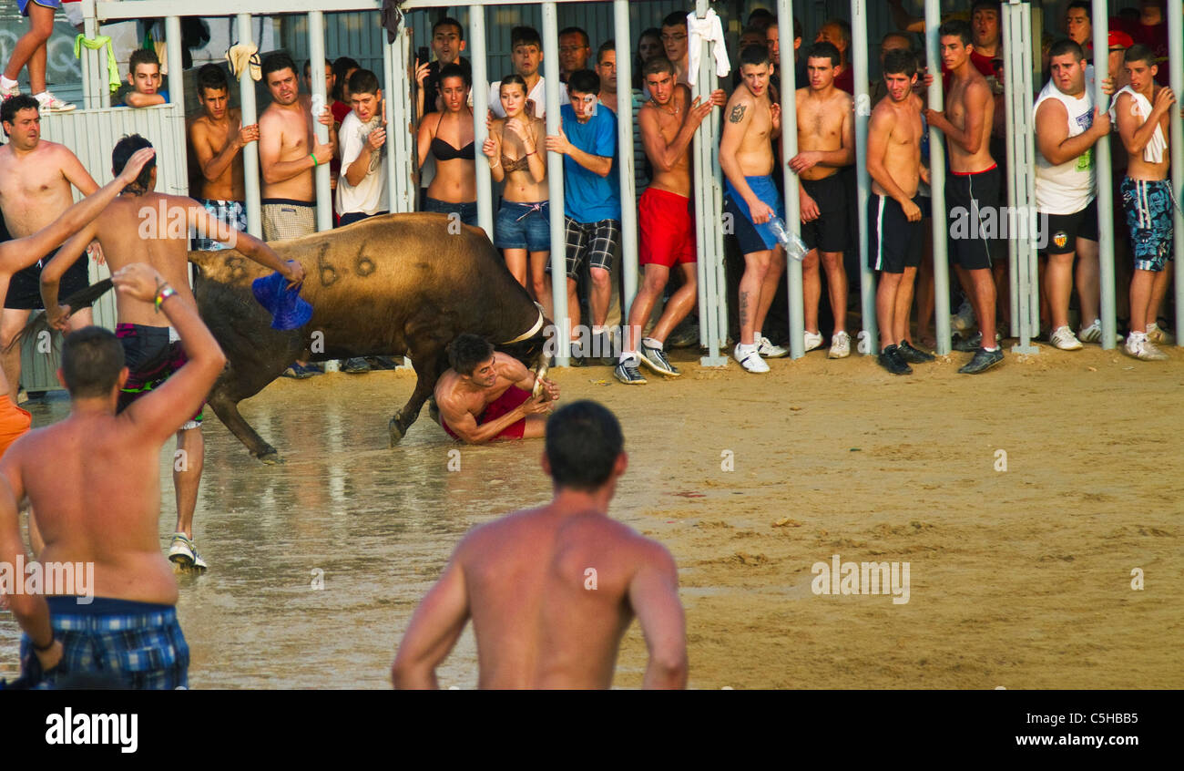 Les jeunes fêtards espagnol au "Bous a la mar" ou Bulls à la fête de la mer à Denia, Espagne 2011 Banque D'Images