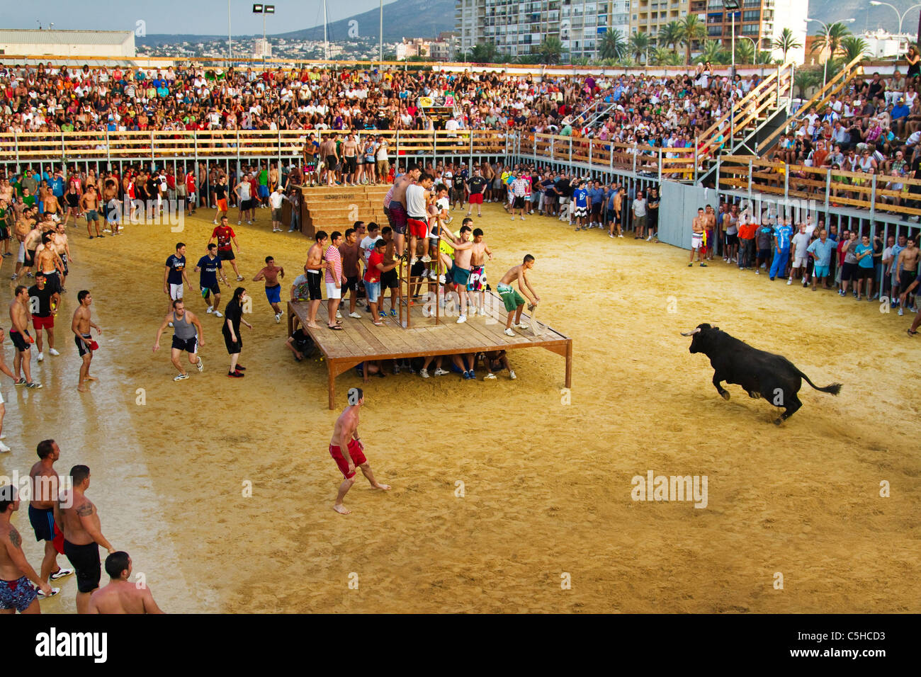 Les jeunes fêtards espagnol au "Bous a la mar" ou Bulls à la fête de la mer à Denia, Espagne 2011 Banque D'Images