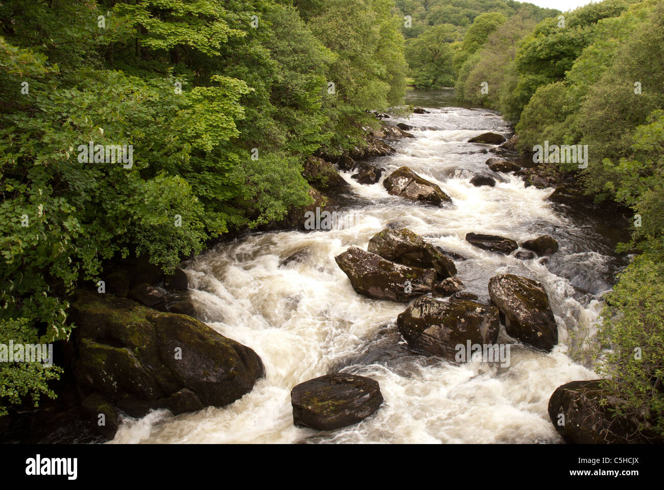 Afon Llugwy, Capel Curig, Snowdonia, le Nord du Pays de Galles, Royaume-Uni Banque D'Images Afon Llugwy, Capel Curig, Snowdonia, le Nord du Pays de Galles, Royaume-Uni Banque D'Images