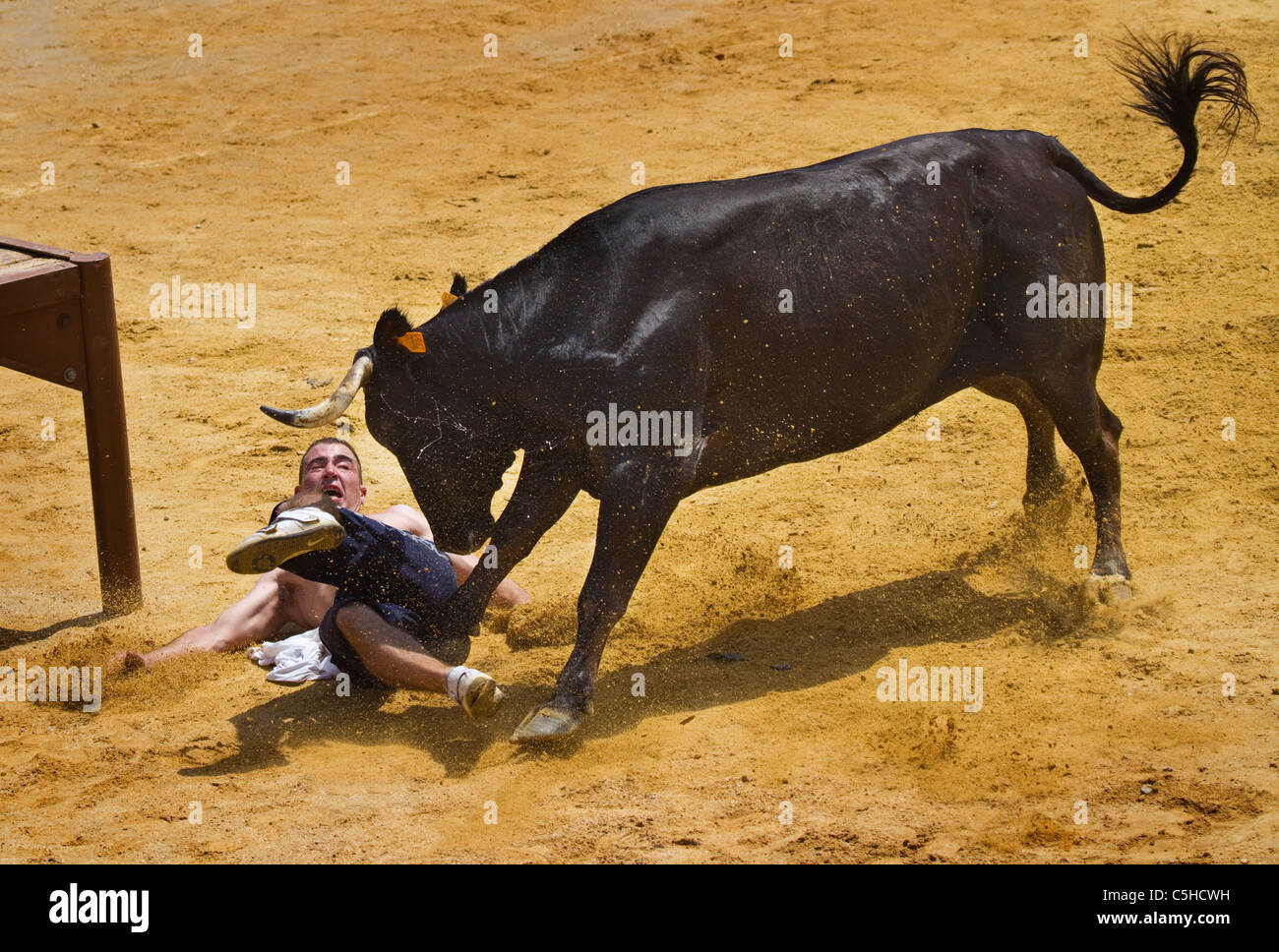 Un homme obtient frappait à la "Bous a la mar" ou Bulls à la fête de la mer à Denia, Espagne 2011 Banque D'Images