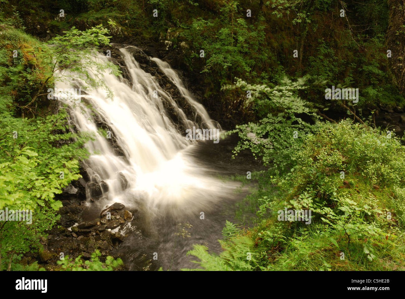 Chute d'Afon Rhaiadr Ddu, Gamlan, Snowdonia, le Nord du Pays de Galles, Royaume-Uni Banque D'Images Chute d'Afon Rhaiadr Ddu, Gamlan, Snowdonia, le Nord du Pays de Galles, Royaume-Uni Banque D'Images