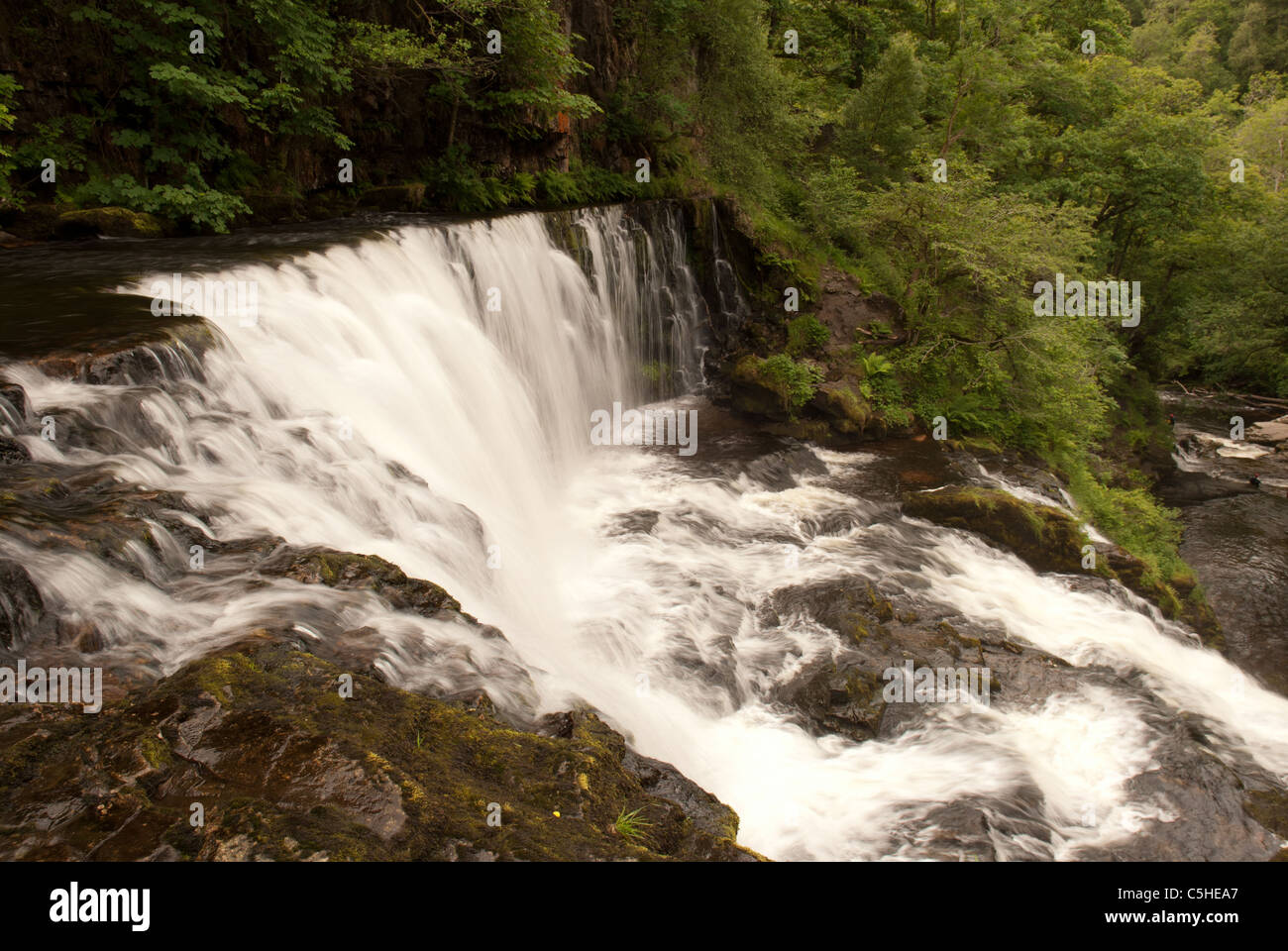 Sgwd Fias Oisans Gwyn, cascade River Mellte, parc national de Brecon Beacons, Pays de Galles, Royaume-Uni Banque D'Images