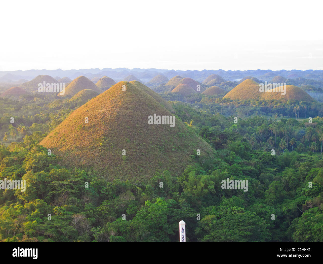 Collines de chocolat le matin, monticules naturels sur l'île de Bohol Banque D'Images
