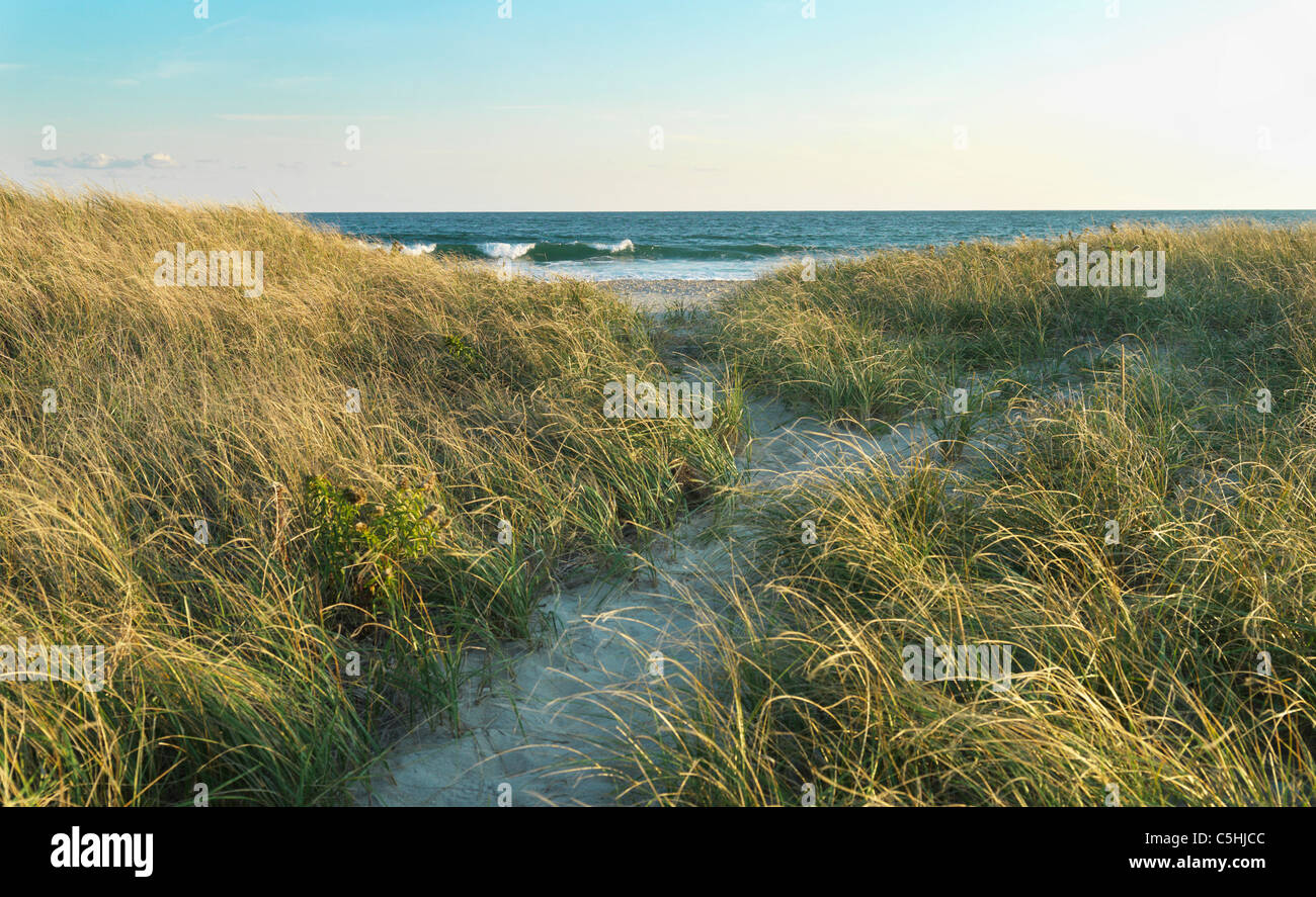 Les dunes de sable et la mer Banque D'Images