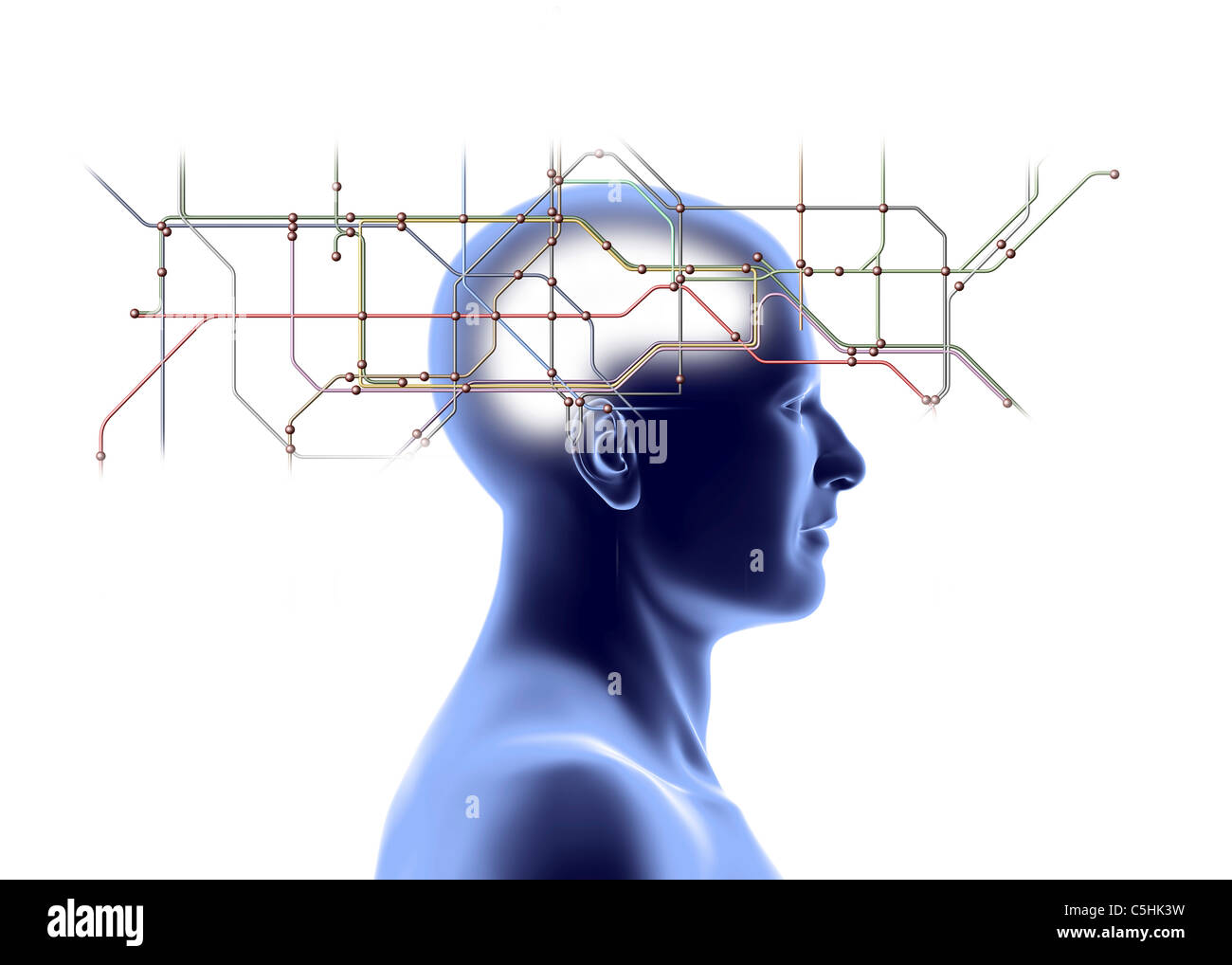 Schéma du réseau et de la tête Banque D'Images