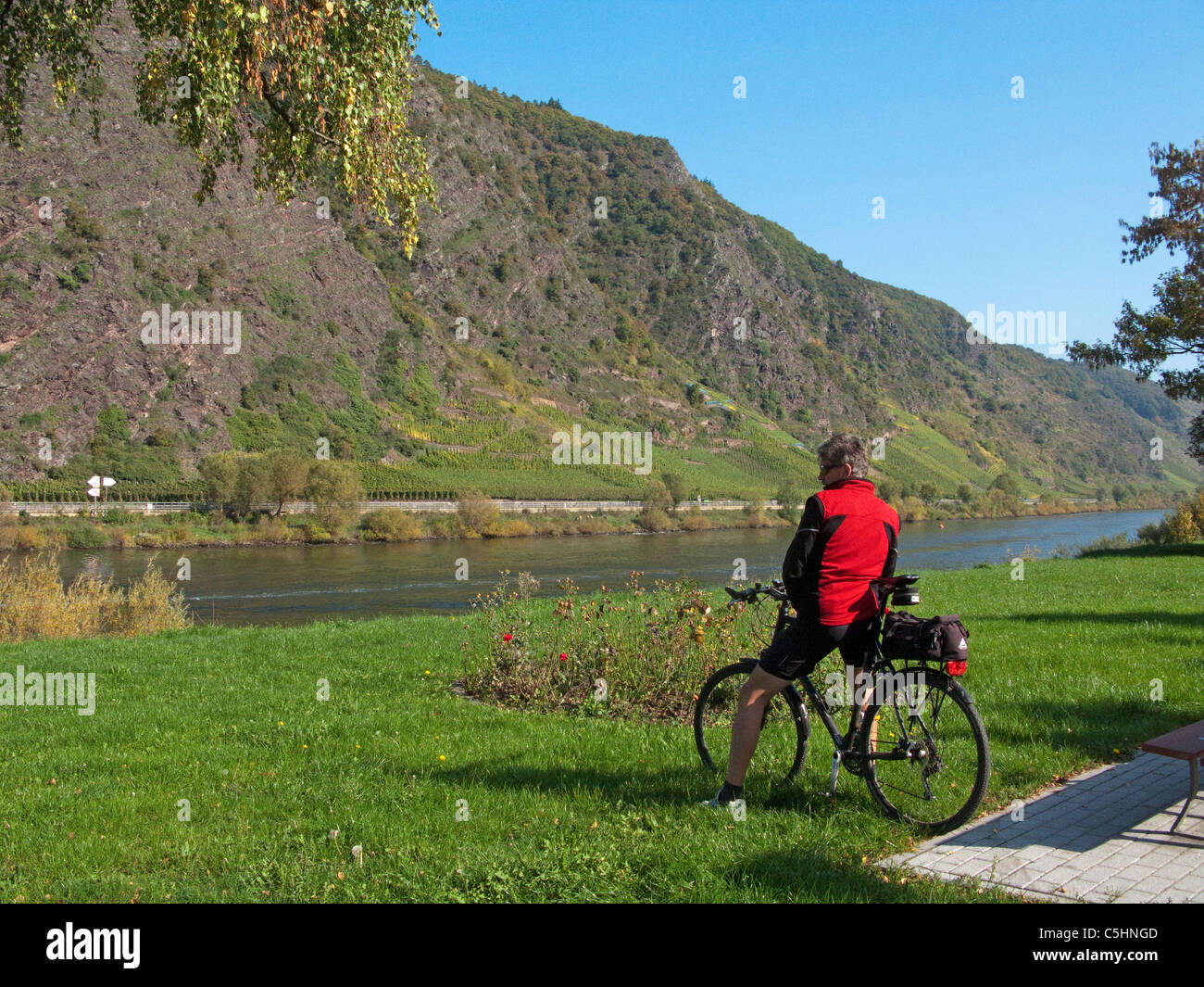 Radfahrer am Moselufer, Cochem, Biker du Riverside, Moselle Banque D'Images