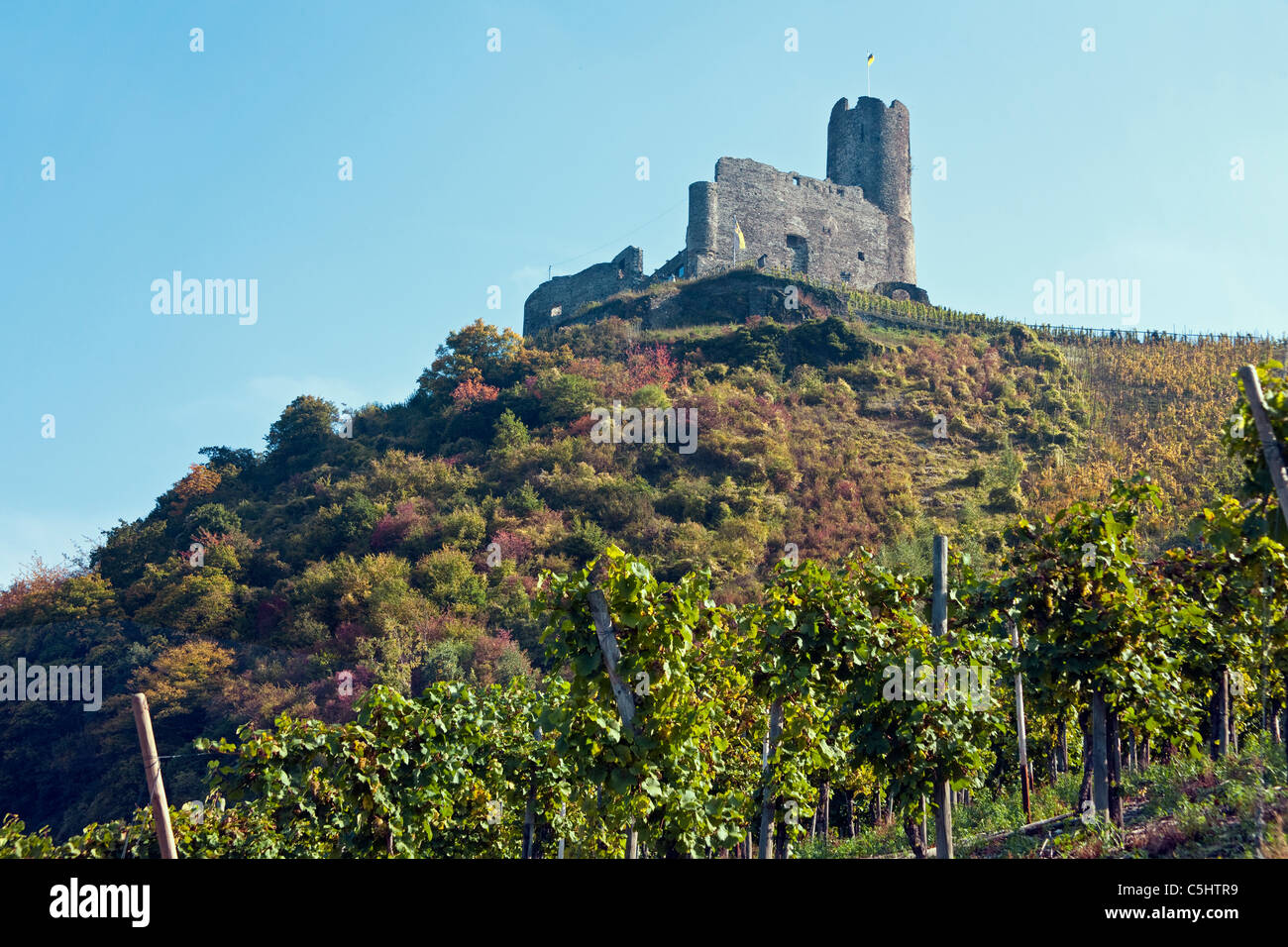 Blick auf die Burg Landshut bei Bernkastel-Kues, Mosel, vue sur le château Landshut, Bernkastel-Kues, Moselle Banque D'Images