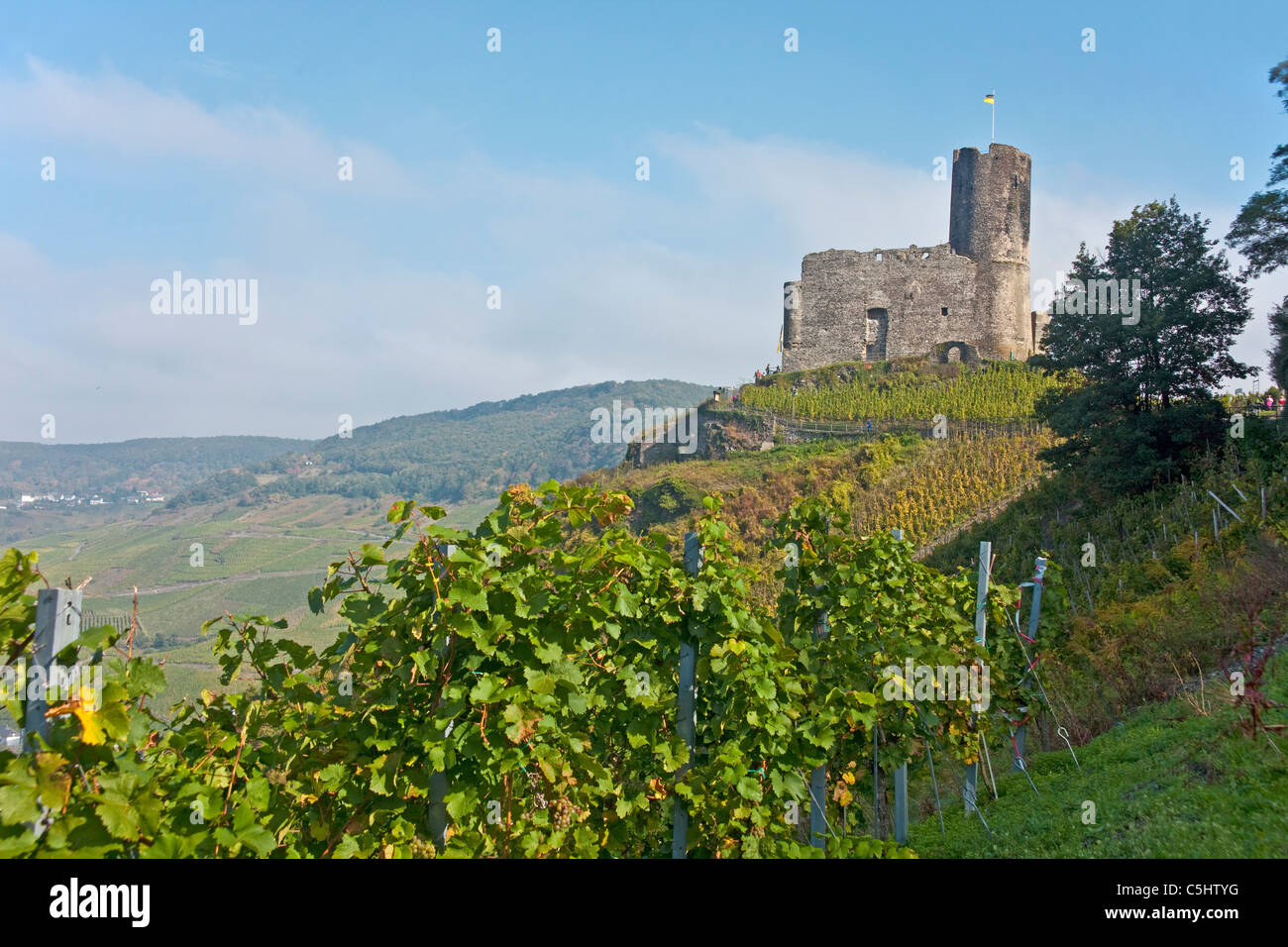 Blick auf die Burg Landshut bei Bernkastel-Kues, Mosel, vue sur le château Landshut, Bernkastel-Kues, Moselle Banque D'Images