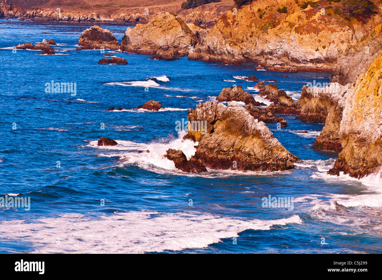 La côte rocheuse de la côte de Big Sur, Big Sur, Californie Banque D'Images