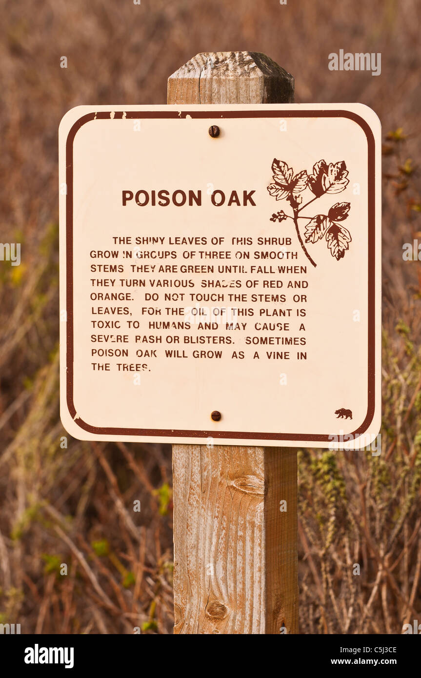 Lecon d'alerte sur la piste de Cypress Grove, Point Lobos State Reserve, Carmel, Californie Banque D'Images