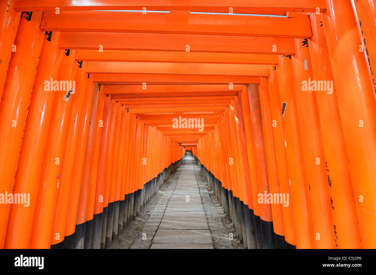 La Tori gates au Sanctuaire Fushimi Inari à Kyoto, au Japon. Banque D'Images