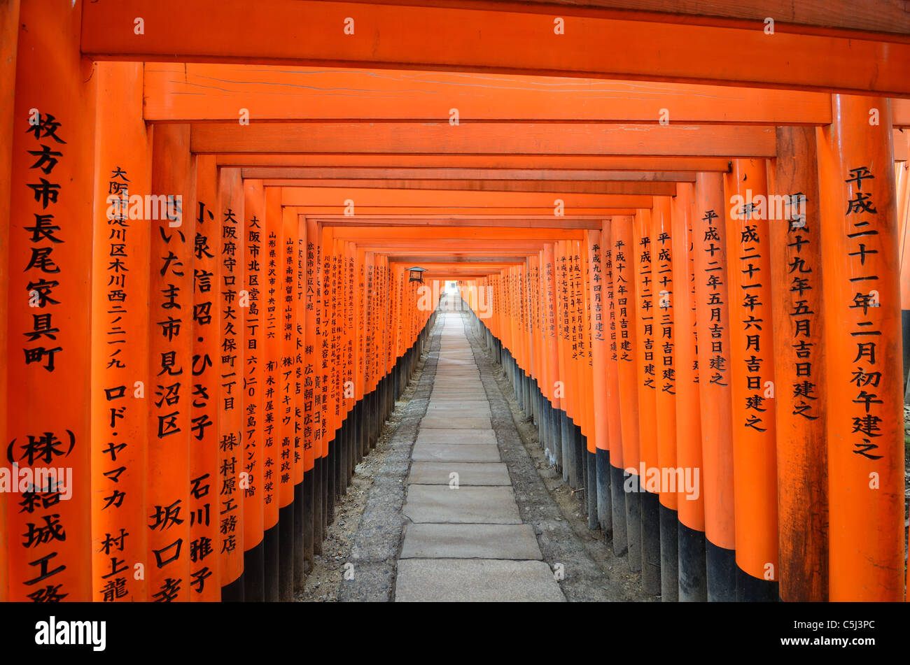 La Tori gates au Sanctuaire Fushimi Inari à Kyoto, au Japon. Banque D'Images
