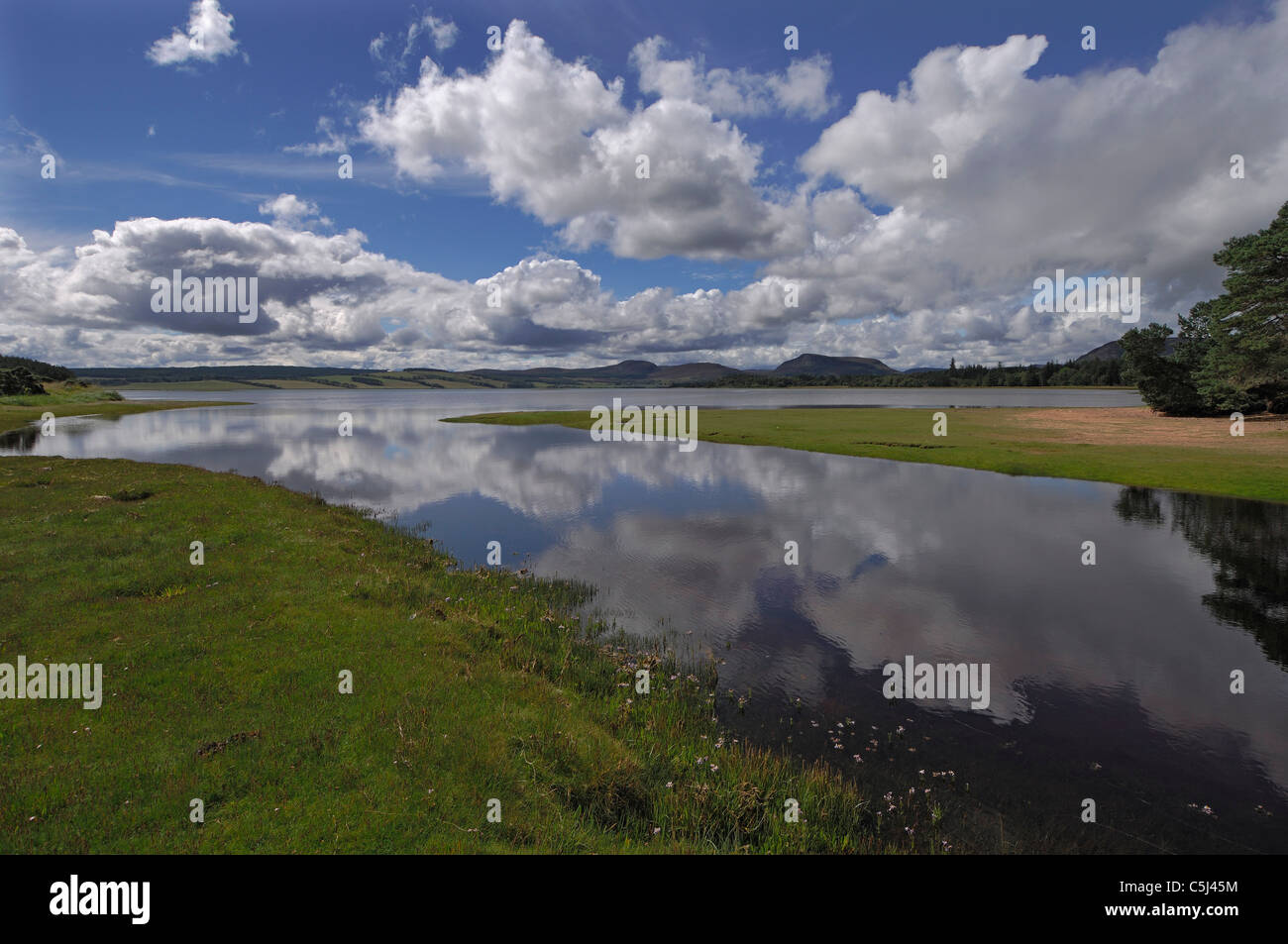 Des réflexions d'arbres et ciel dans les eaux calmes du Loch Fleet, east Sutherland, n.e. L'Écosse. Banque D'Images