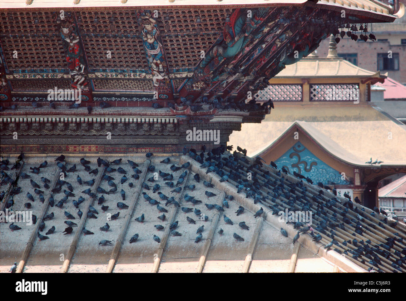 Les toits d'or du grand temple hindou et lieu de pèlerinage à Pasupatinath, Katmandou, Népal. Banque D'Images