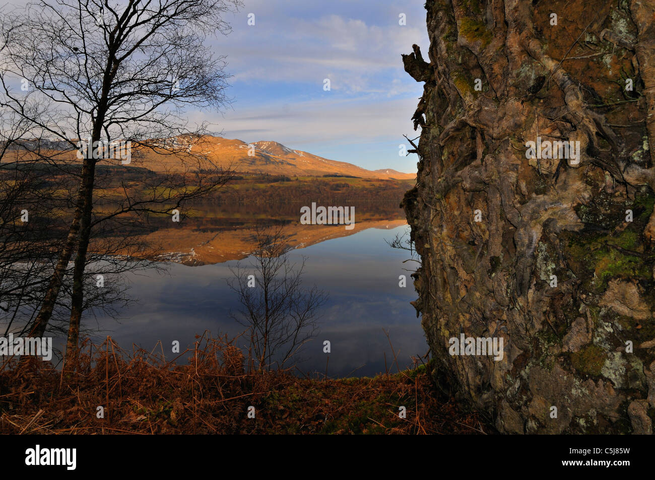 Collines de la gamme Ben Lawers se reflètent dans la lumière du soir dans les eaux calmes et Loch Tay avec arbres à proximité silhouetté Banque D'Images